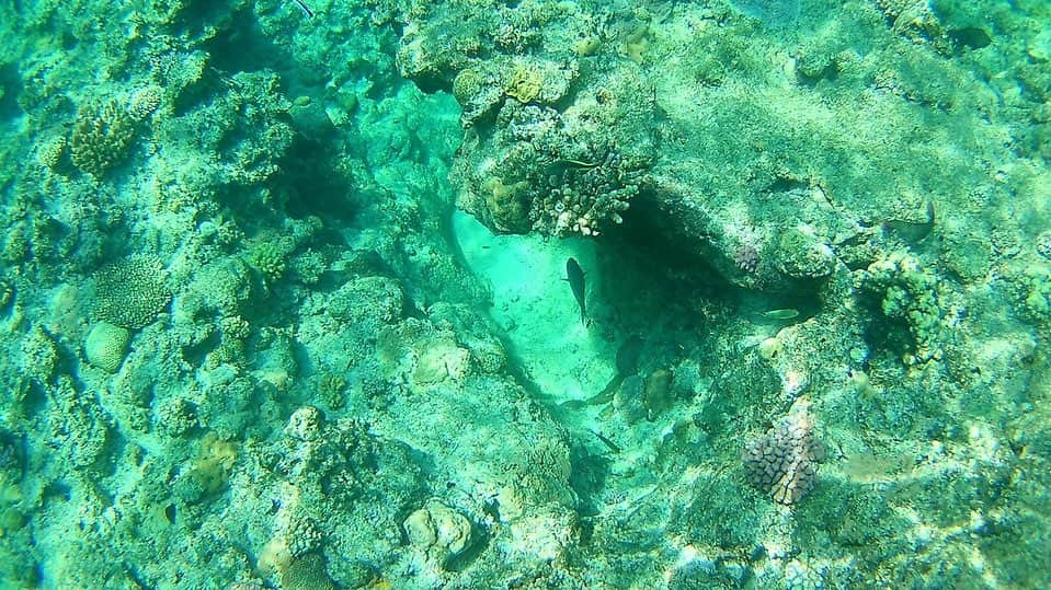 さわいえりさんのインスタグラム写真 - (さわいえりInstagram)「in沖縄🌺 お仕事で沖縄へ行って来たよ🏝  シュノーケリング初挑戦〜🐠 と〜っても気持ちよくて楽しかったぁ💕 また皆んなに早く逢いたい♪笑 ・ ・ ・ ・ ・ ・ ・ ・ ・ ・ #沖縄#シュノーケリング#海#那覇#ダイビング#探検#海ガメ#ニモ#可愛い#バナナボート#マリンスポーツ#最高#sea#探検ツアー#すっぴん#撮影モデル#撮影#インフルエンサー#サロモ#レースクイーン#サロンモデル」6月12日 21時06分 - beauty_eri7