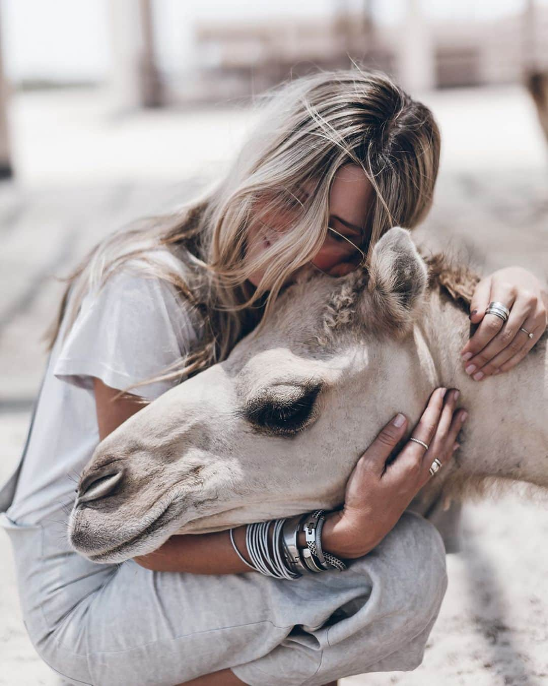 ジャクリーン・ミクタさんのインスタグラム写真 - (ジャクリーン・ミクタInstagram)「Werbung - I always wanted to meet a camel 🐪 💕 Yesterday I finally did! We went to the Royal camel farm here in Bahrain to meet them and even got to cuddle!  Here the camels are not used for milking or riding, the farm was created by the king to preserve the camels in Bahrain. Unfortunately some of the camels are chained but those are only the aggressive males to prevent them from killing each other to mate with the females, which are not chained. I was a bit worried in the beginning about getting close to them but they were so sweet and friendly, except one camel that tried to eat my hat!☀️ @tourismbahrain #BahrainAlwaysWarmer #BahrainOursYours」6月12日 19時35分 - mikutas