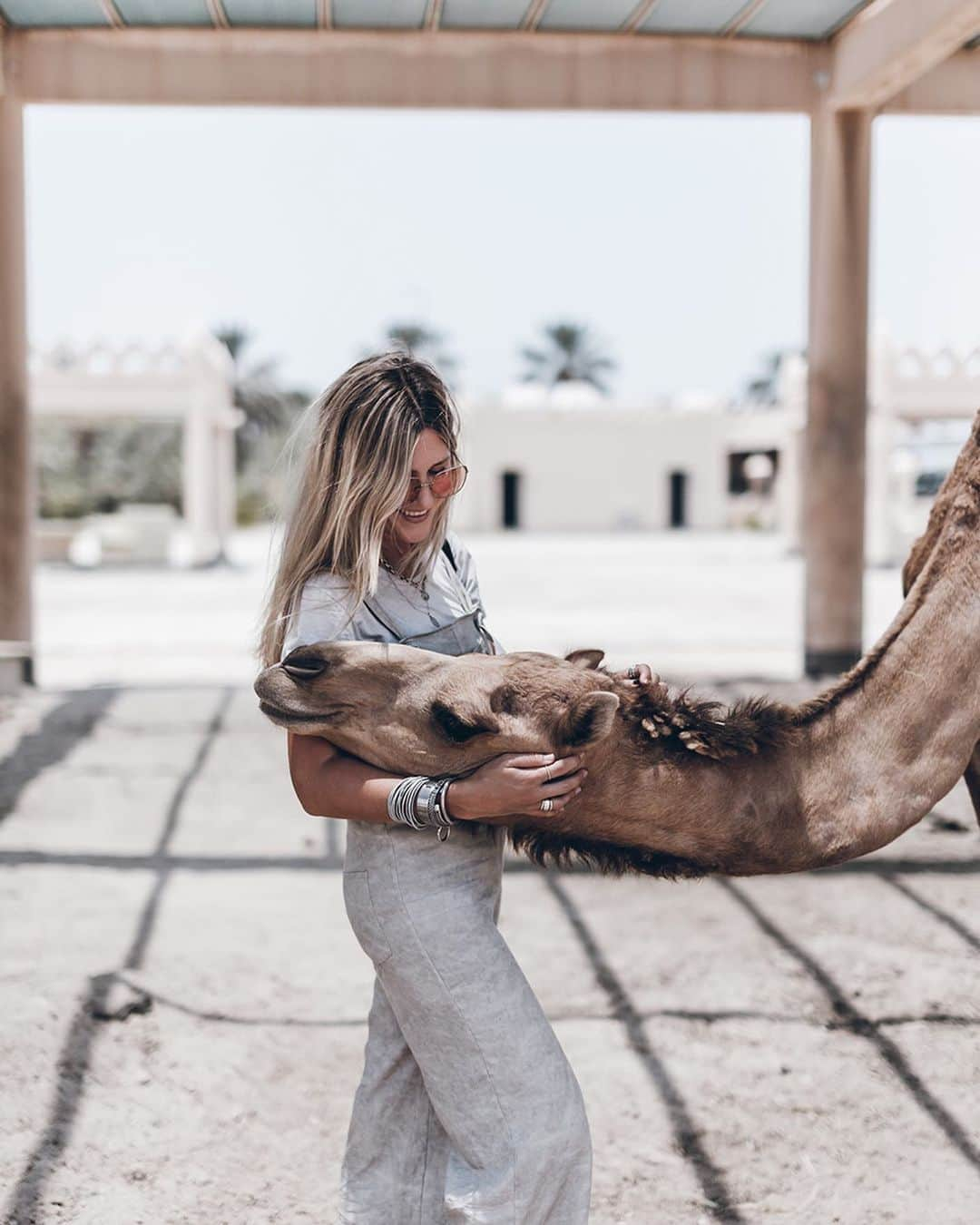 ジャクリーン・ミクタさんのインスタグラム写真 - (ジャクリーン・ミクタInstagram)「Werbung - I always wanted to meet a camel 🐪 💕 Yesterday I finally did! We went to the Royal camel farm here in Bahrain to meet them and even got to cuddle!  Here the camels are not used for milking or riding, the farm was created by the king to preserve the camels in Bahrain. Unfortunately some of the camels are chained but those are only the aggressive males to prevent them from killing each other to mate with the females, which are not chained. I was a bit worried in the beginning about getting close to them but they were so sweet and friendly, except one camel that tried to eat my hat!☀️ @tourismbahrain #BahrainAlwaysWarmer #BahrainOursYours」6月12日 19時35分 - mikutas