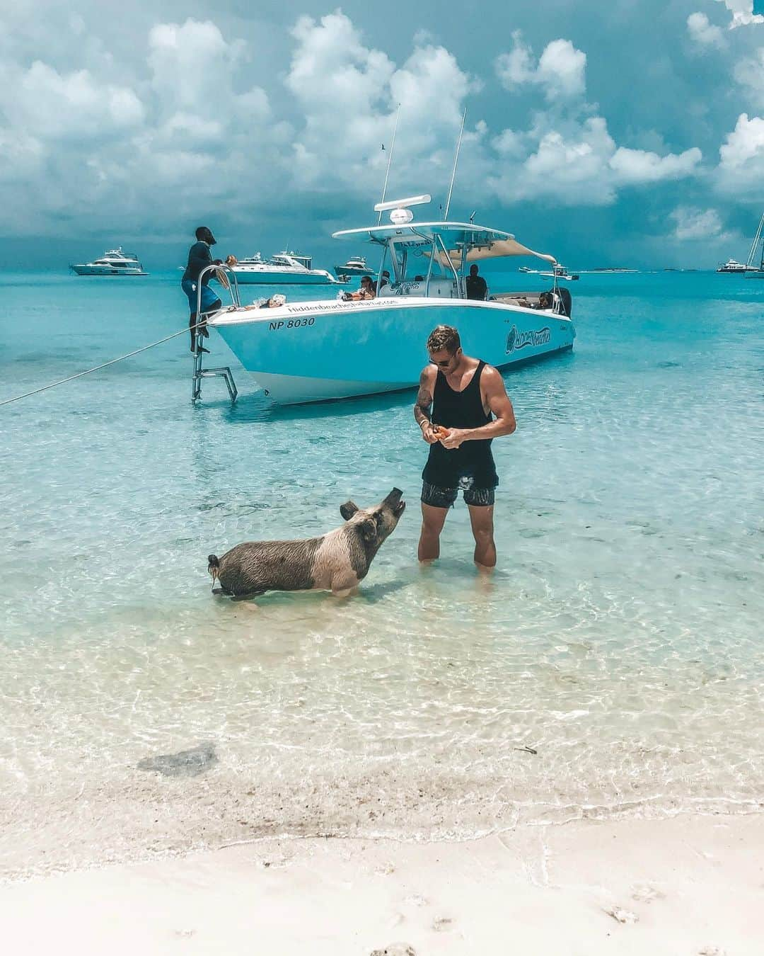 ラルフ・フェールマンさんのインスタグラム写真 - (ラルフ・フェールマンInstagram)「🌴🐷🌴」6月12日 19時48分 - ralle.1