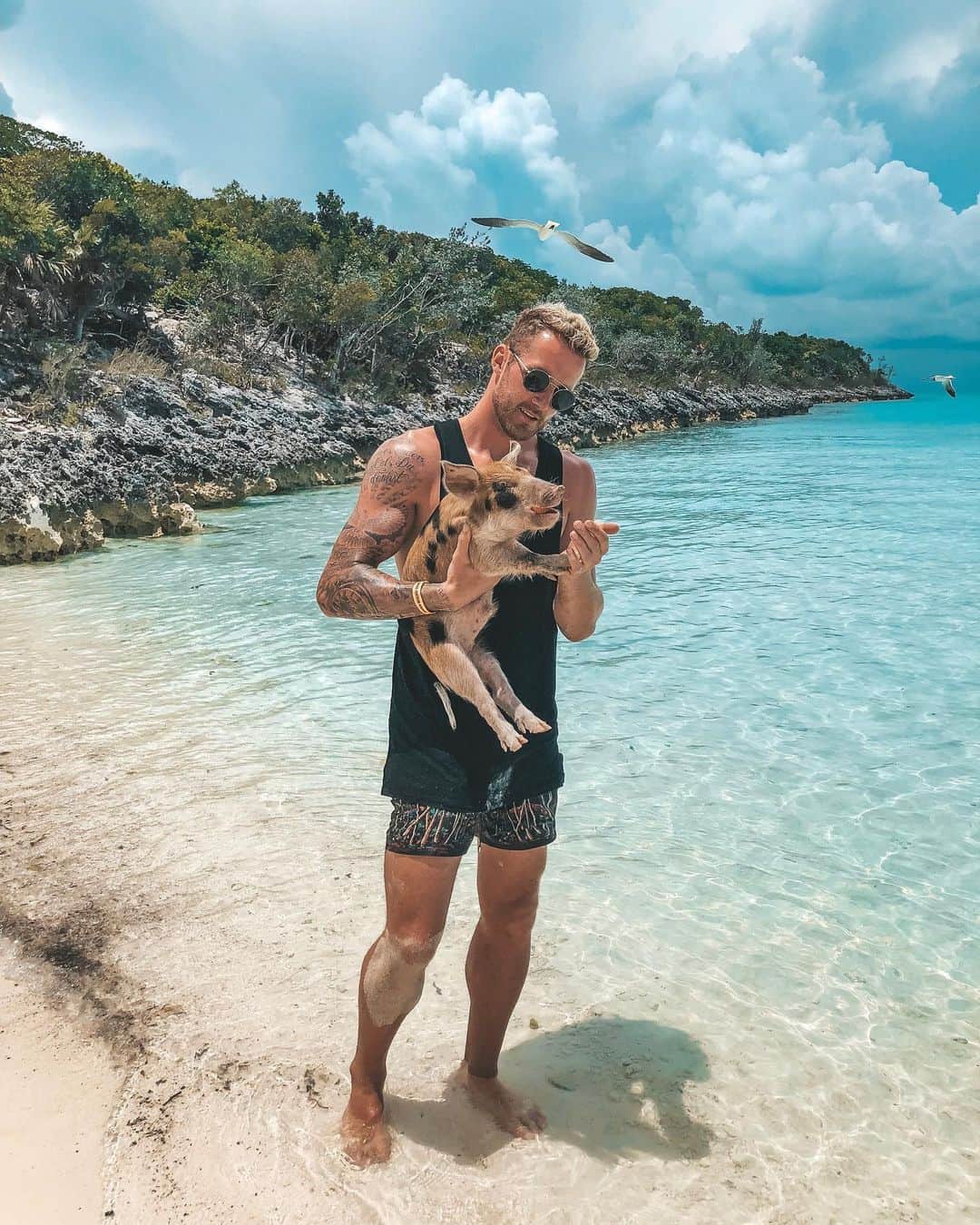 ラルフ・フェールマンのインスタグラム：「🌴🐷🌴」