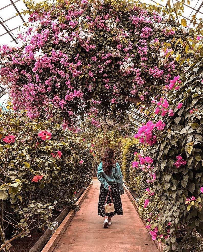 Stayway女子のグルメインスタ