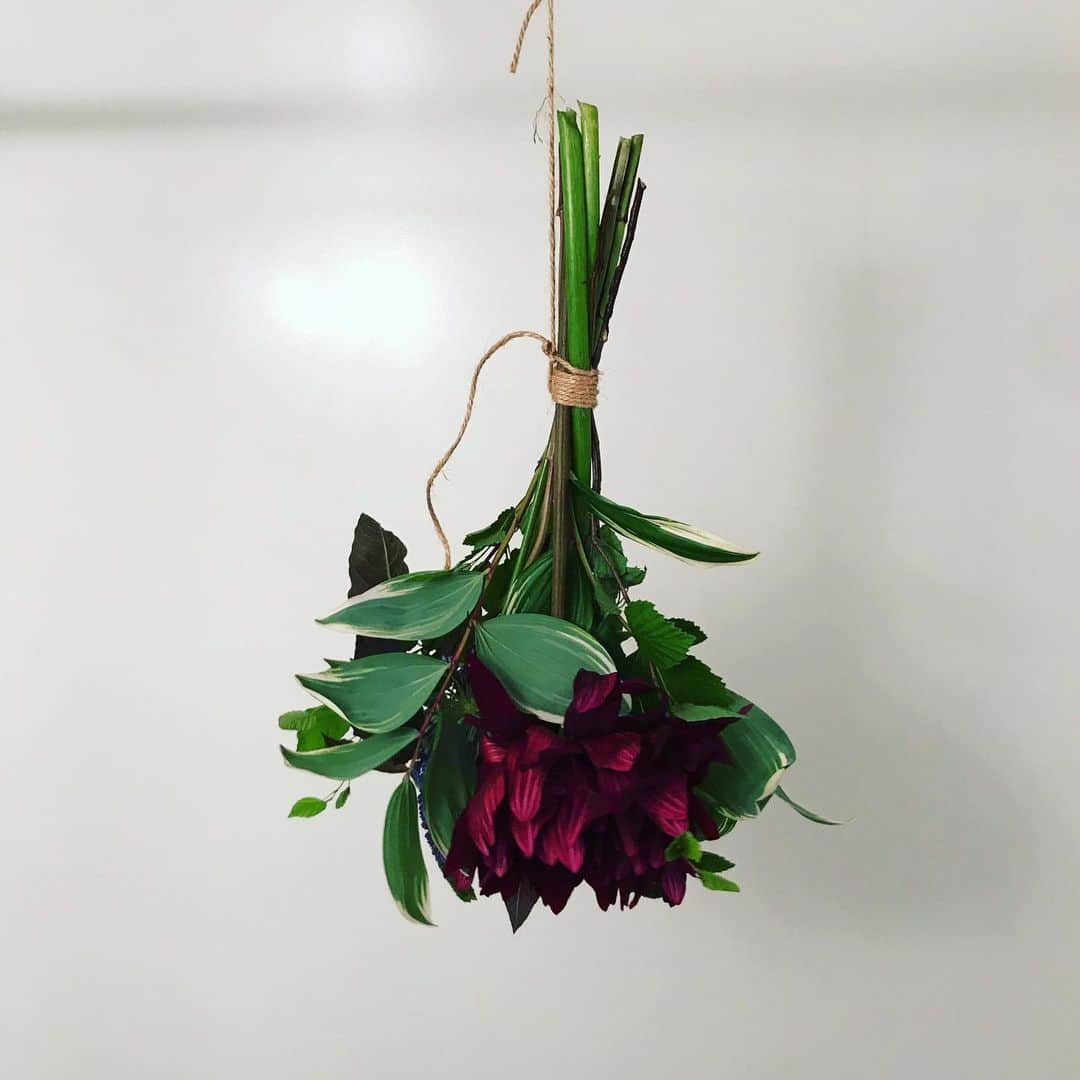 奇妙礼太郎さんのインスタグラム写真 - (奇妙礼太郎Instagram)「#driedflowers」6月12日 20時02分 - reitaro_strange