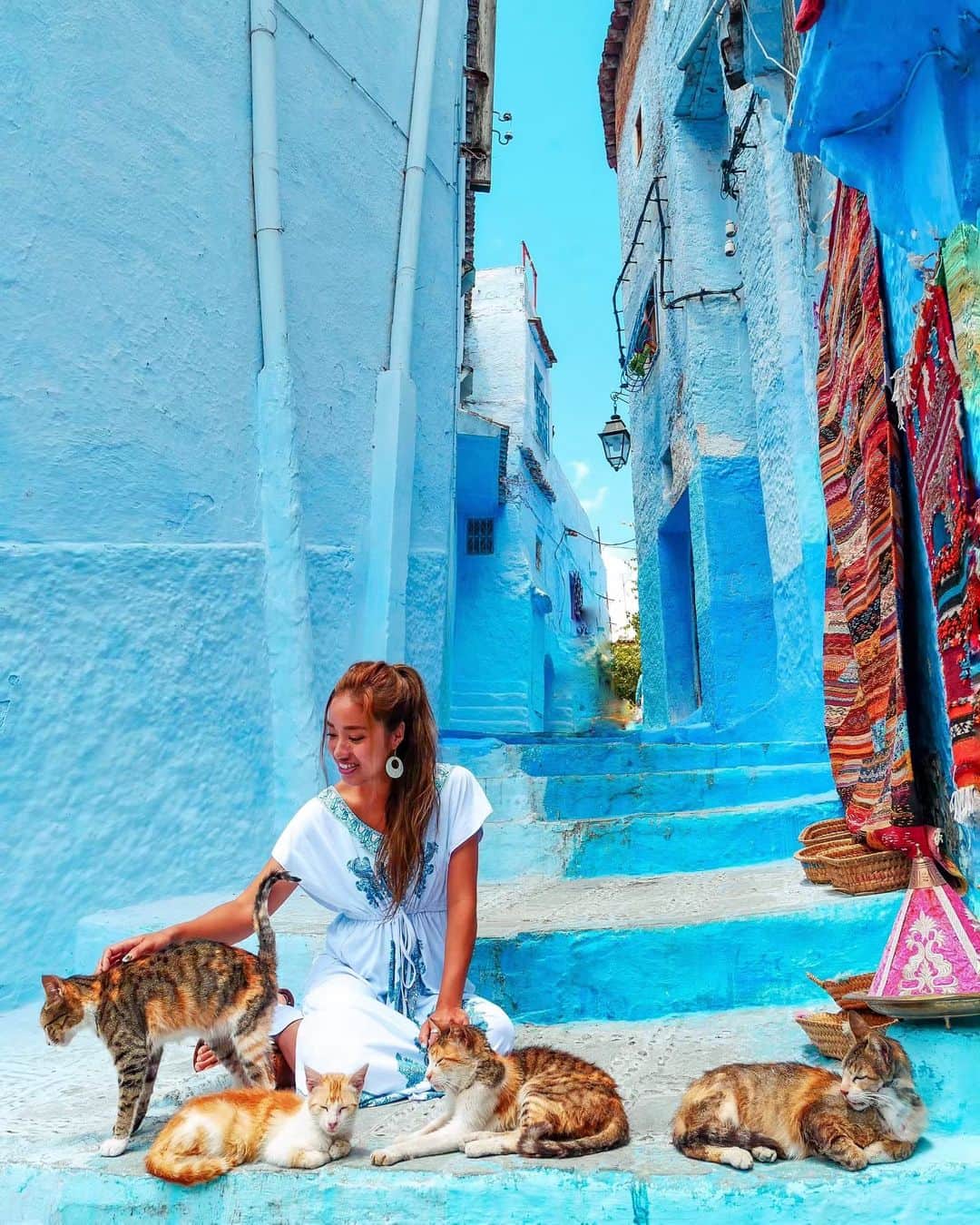羽石杏奈さんのインスタグラム写真 - (羽石杏奈Instagram)「犬派なんだけど、猫が可愛すぎてたまらない初モロッコ🐈🇲🇦🐈 青い街、シェフシャウエンは間違いなくモロッコで一番好きな街💎 . 今は首都のラバトにいて、夕方電車でカサブランカに戻るよ〜！ 今回もたくさんお世話になってます⇨⇨ #グローバルwifi supported by #グローバルwifi @globalwifi_official @girl_license  photo in #morocco #chefchaouen #モロッコ #シャウエン」6月12日 20時16分 - hawaiianna913