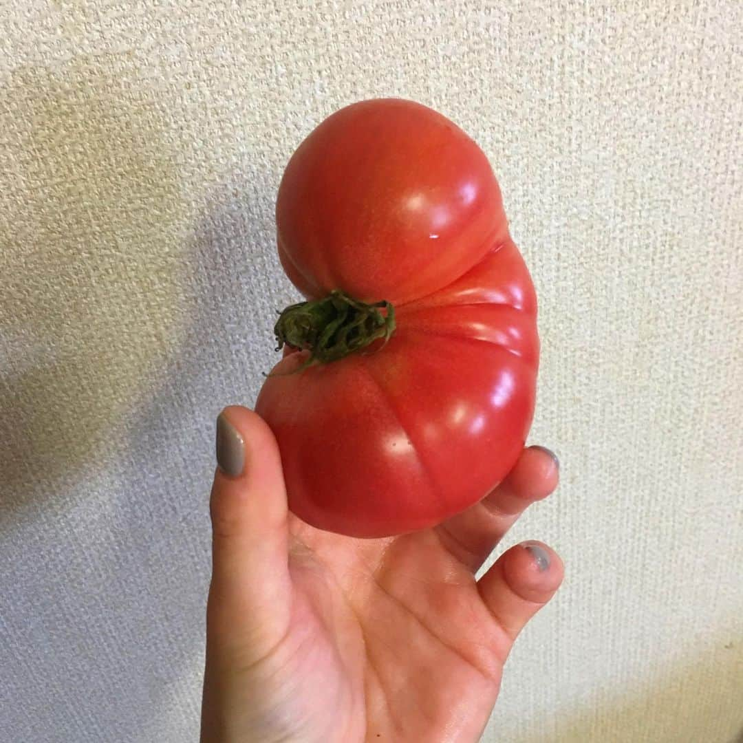 Nao☆ さんのインスタグラム写真 - (Nao☆ Instagram)「個性的なトマト🍅💓」6月12日 20時57分 - nao_ngc