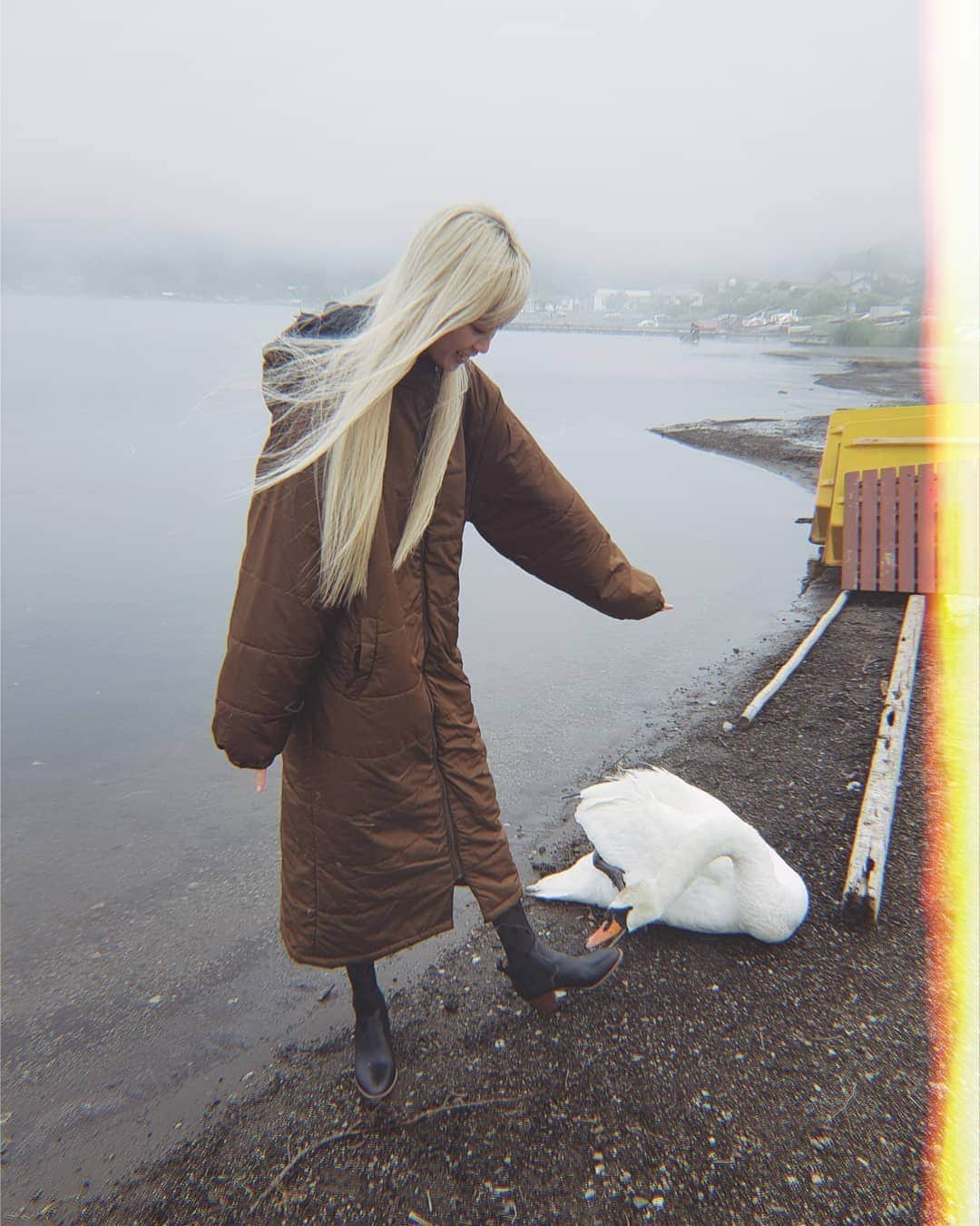 フェルナンダ・リーさんのインスタグラム写真 - (フェルナンダ・リーInstagram)「🦢初めて🦢の🦢山中湖🦢 白鳥は可愛くて好きだけど、 私のこと嫌いかも知れない😞 〰️〰️〰️〰️〰️ First time in 🦢Lake🦢Yamanaka🦢 I like animals, but they all seem to not reciprocate that (exampled by these swans)」6月12日 13時06分 - warukatta