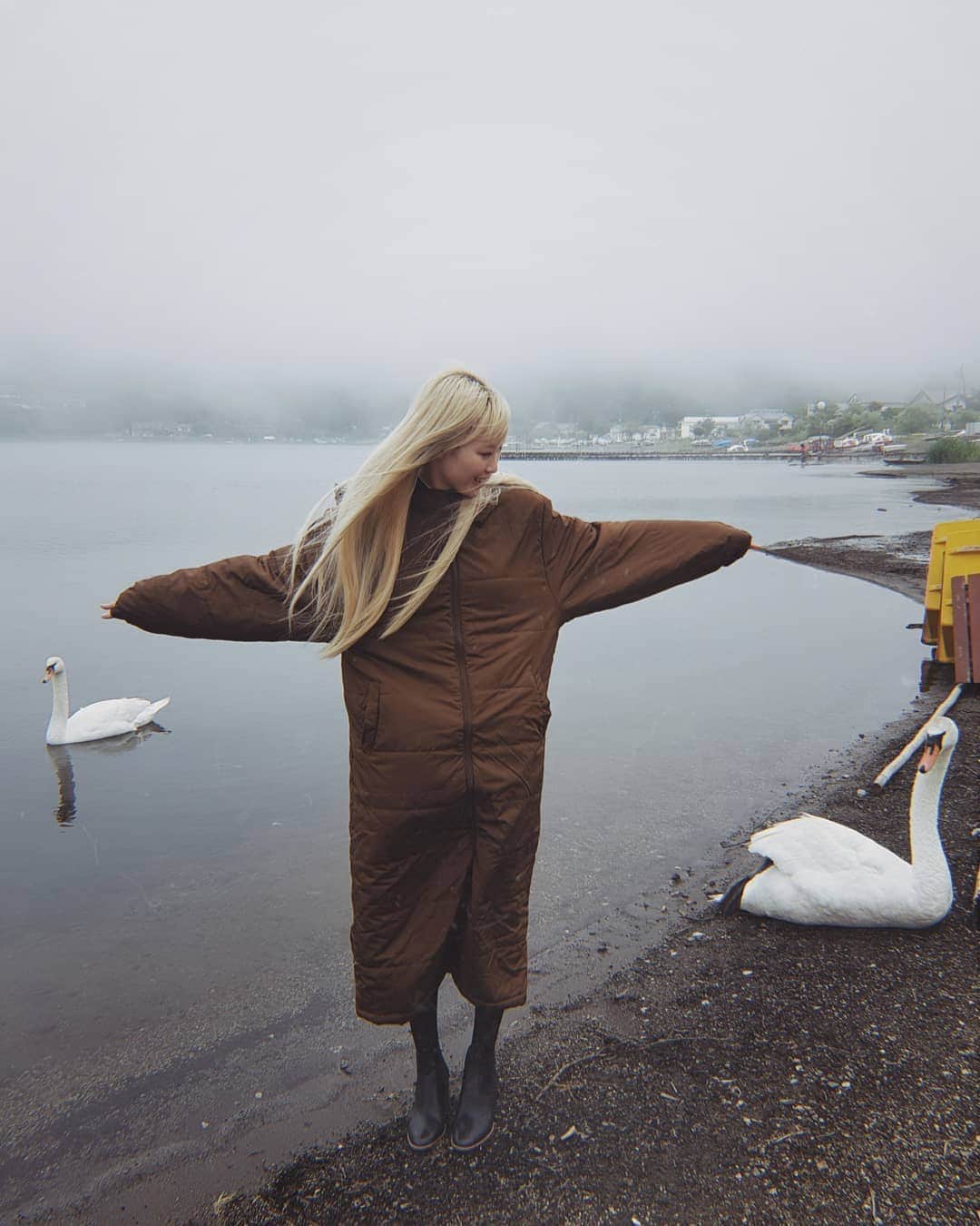 フェルナンダ・リーのインスタグラム：「🦢初めて🦢の🦢山中湖🦢 白鳥は可愛くて好きだけど、 私のこと嫌いかも知れない😞 〰️〰️〰️〰️〰️ First time in 🦢Lake🦢Yamanaka🦢 I like animals, but they all seem to not reciprocate that (exampled by these swans)」