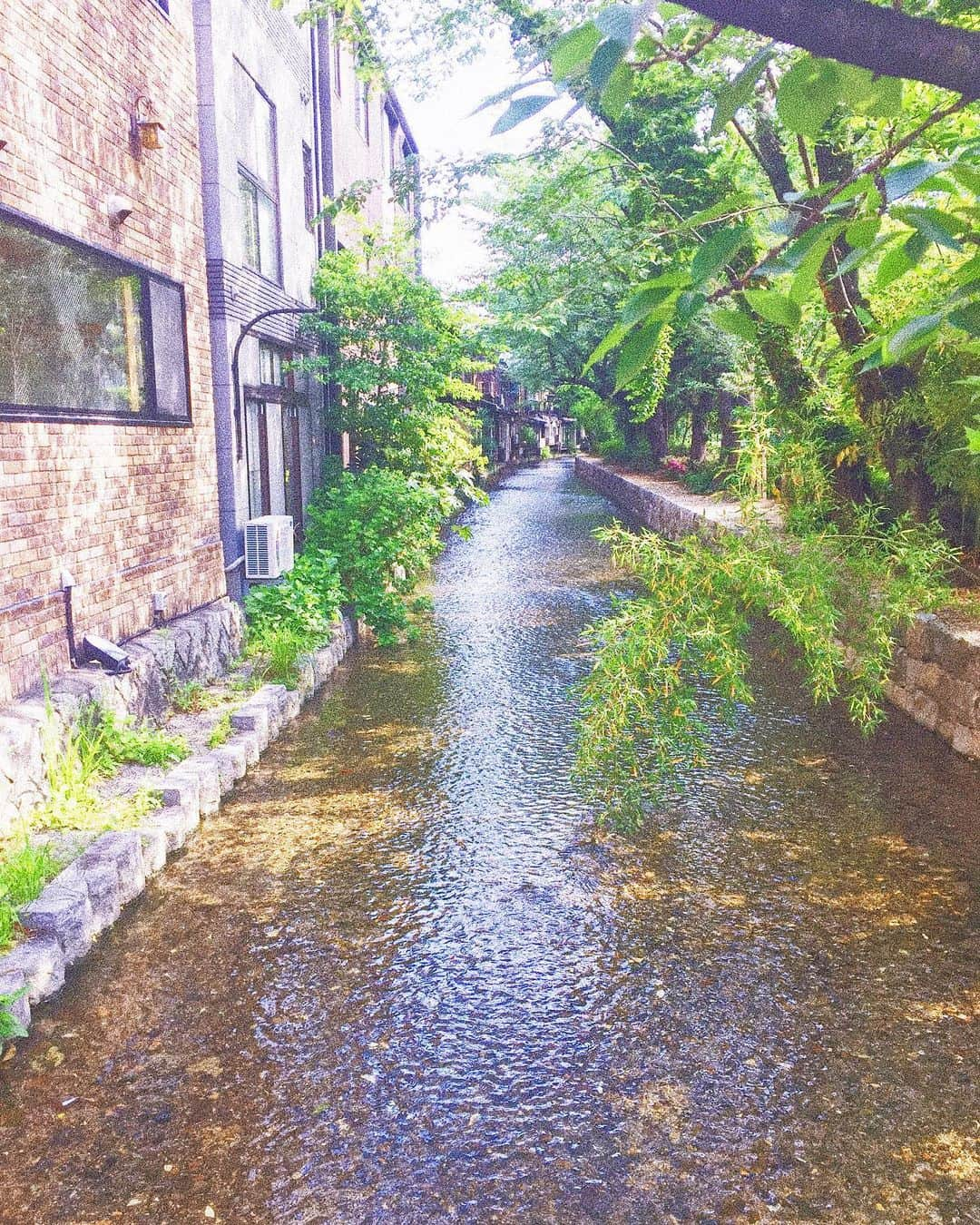 石川琴允さんのインスタグラム写真 - (石川琴允Instagram)「: am6:00 : : :  in Kyoto : : とても気持ちの良い朝でした☺️ : : : 今日も1日頑張ろっと #京都 #Kyoto #日本 #japan」6月12日 14時05分 - kotopon09