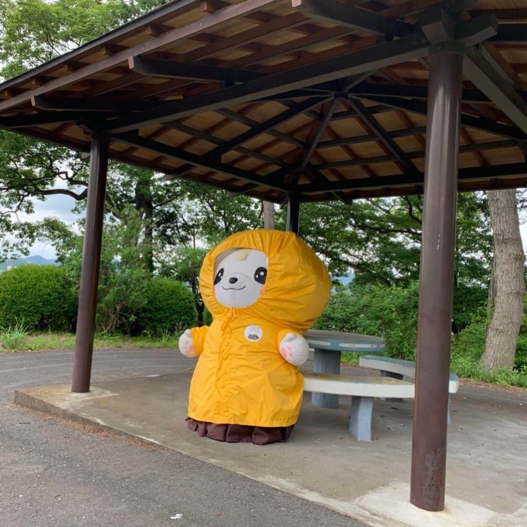 さのまるさんのインスタグラム写真 - (さのまるInstagram)「あまやどり？(๑˃̵ᴗ˂̵) #さのまる 🐶🍜 #かっぱ  #カッパ  #レインコート  #あじさい  #これからいっぱいさくかな♡  #あまやどり」6月12日 21時12分 - sanomaru0225