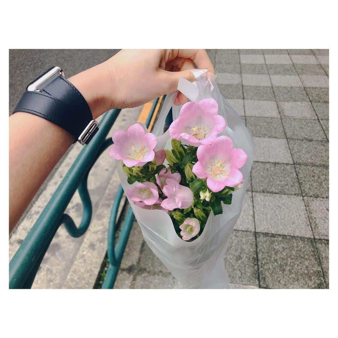 カン・ハンナさんのインスタグラム写真 - (カン・ハンナInstagram)「.﻿ ﻿ ﻿ お花の日💐 ﻿ ﻿ ﻿ 今日はお花屋さんのおじさんのおすすめで、カンパニュラを購入しました。﻿ ﻿ ﻿ たくさん咲いてほしいなぁ〜☺️ ﻿ ﻿ ﻿ カンパニュラの花言葉は誠実な愛。﻿ ﻿ ﻿ 誠実に毎日を頑張っていきます💗 ﻿ ﻿ ﻿ ﻿ ﻿ ﻿ #カンパニュラ #お花 #小さな幸せ ﻿ #すっぴんで少し散策 ﻿ #前向きに頑張ります ﻿ ﻿ ﻿」6月12日 15時50分 - kang_hanna_jp