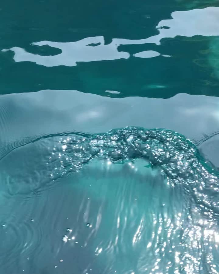 のインスタグラム：「・ ご覧いただきたい🥰 この積丹ブルーを🦋💙🐬💎 ㅤㅤㅤㅤㅤㅤㅤㅤㅤㅤㅤㅤㅤ 道外のみなさま👂✨ 【シャコタン】って読みます🤔✨ ㅤㅤㅤㅤㅤㅤㅤㅤㅤㅤㅤㅤㅤ お休みの日みんなにも感じてほしい☀️ この大自然の中ボヤボヤしたい☀️ そして海に潜りたい☀️ また行きたい☀️」