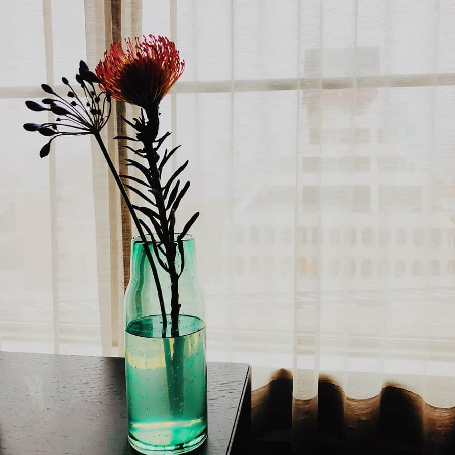 菊井彰子さんのインスタグラム写真 - (菊井彰子Instagram)「家にいる時間が多いので視界に入る所は少しでも癒されたい。 #お花のある暮らし  #お花のある生活  #マタニティライフ  #妊婦生活  #プレママ」6月12日 16時08分 - yanakiku_kiku