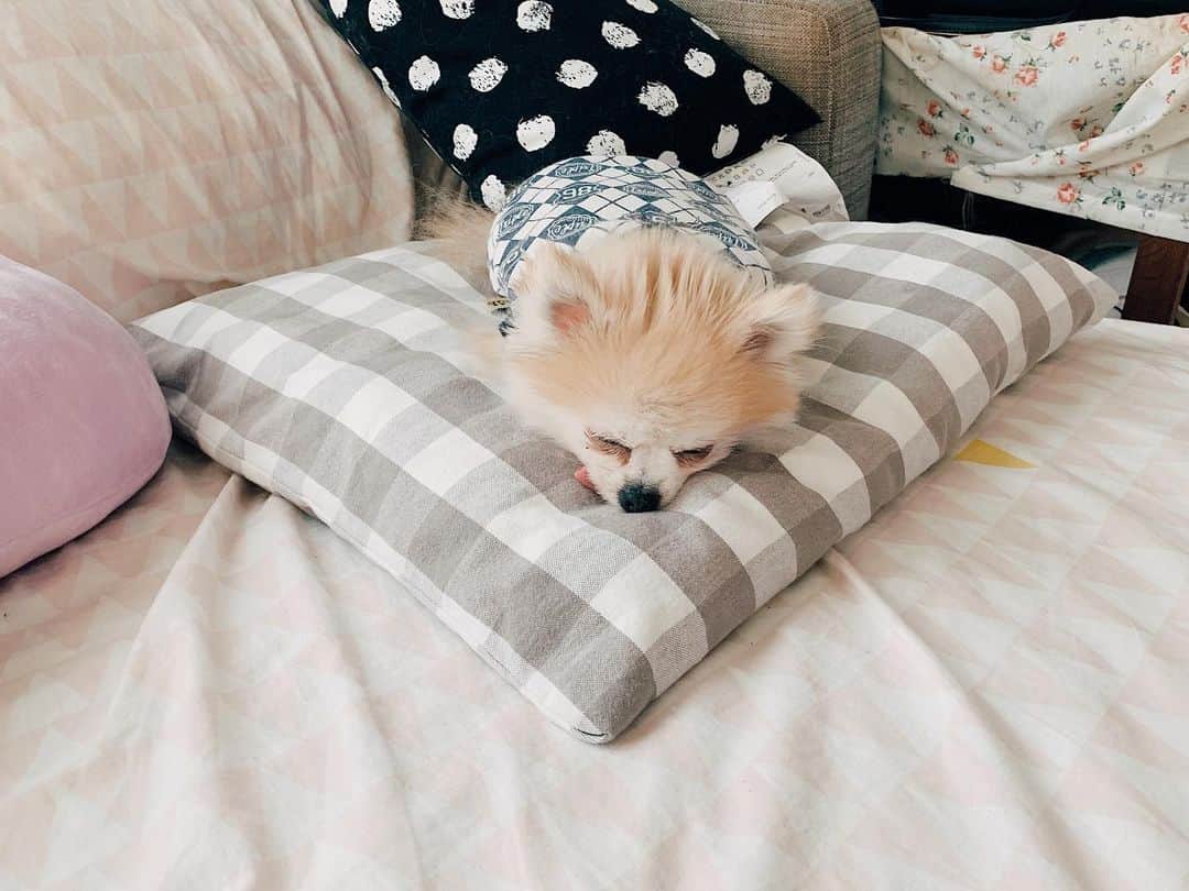 r_oseのインスタグラム：「That little tongue🐰〰️」