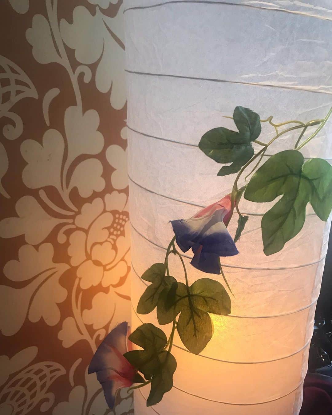 ゆずの小町京橋店のグルメインスタ