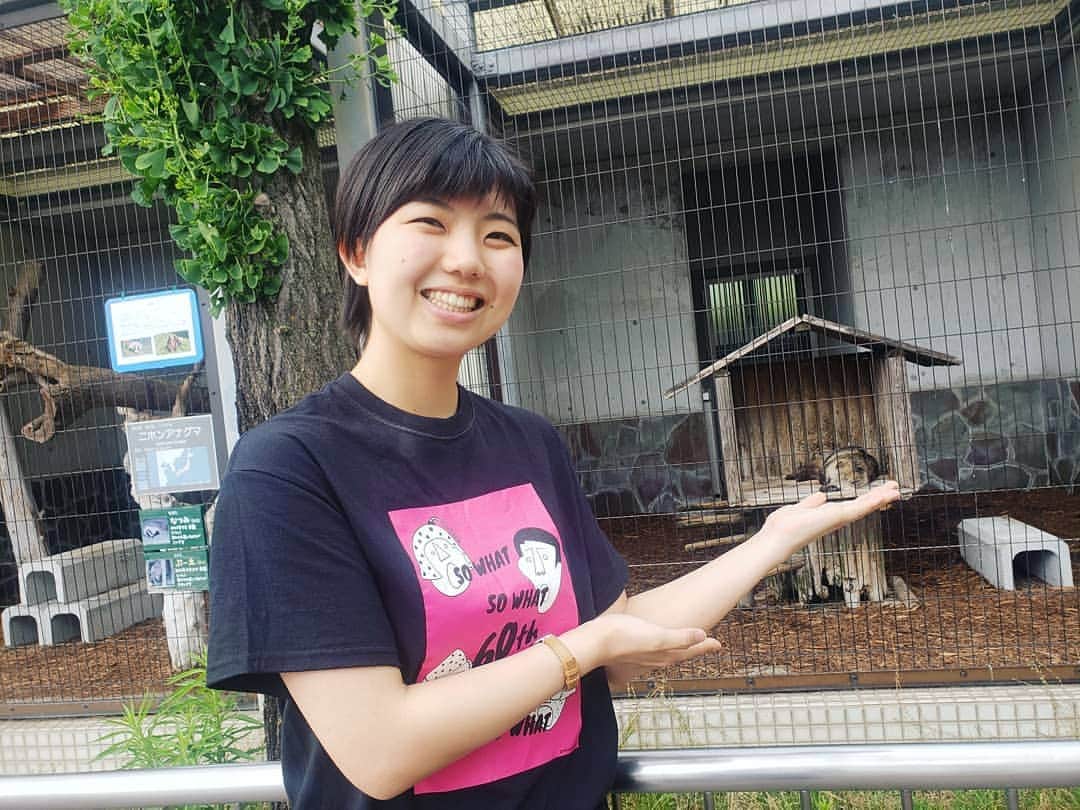 服部ひで子のインスタグラム：「曽麻 綾(そうま あや)ちゃん。  タヌキを見て、 『タヌキって本当にいるんだ……！！！』と、大興奮。  去年まで カナダに住んでいた 曽麻ちゃんは、  タヌキは 幻の生き物だと思ってたみたいです。  ちなみに、 アライグマは、 『よく道で見かけました。』と言っていました。  曽麻ちゃんからは、いつも『You』目線の気付きをさせてもらってます(* ´ ▽ ` *)！ なんとも頼もしい👍✨ 曽麻ちゃんと一緒にいると 大好きな番組、 『YOUは何しに日本へ？』感覚が味わえます(*´▽｀*)📺✨ #吉本新喜劇 #よしもと新喜劇 #新喜劇  #山口県 #徳山動物園  #曽麻綾 ちゃん」