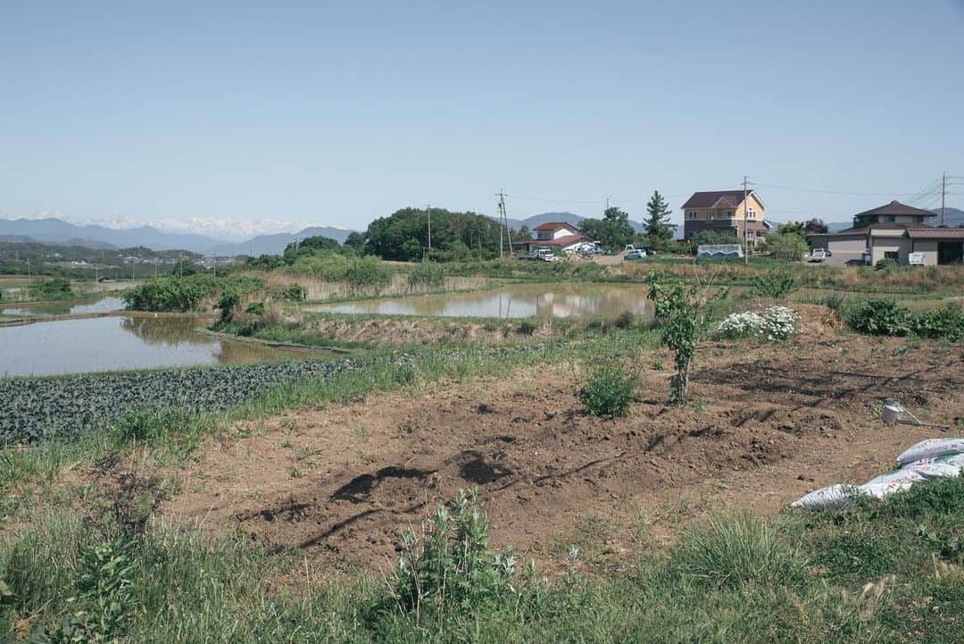 ヒラハルのグルメインスタ