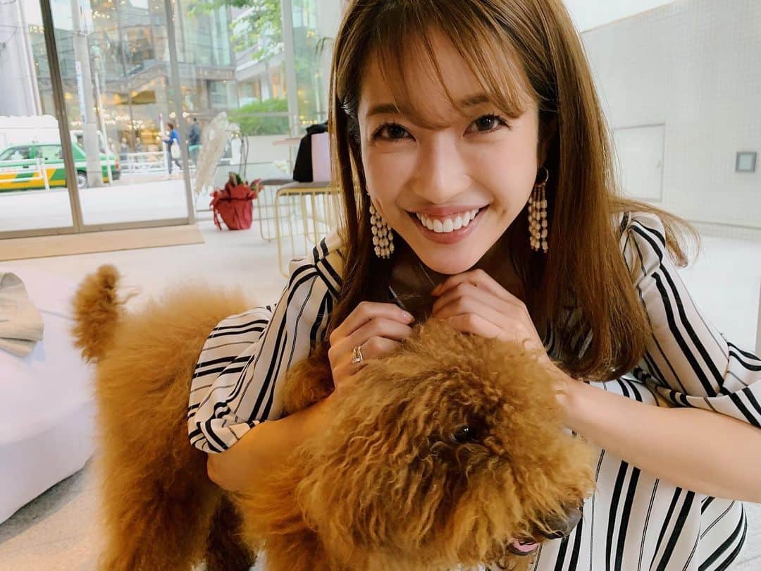 舟山久美子（くみっきー）さんのインスタグラム写真 - (舟山久美子（くみっきー）Instagram)「@lavecjapan って新しいブランドが出来たのでお仕事終わりに展示会行ってきました😉👌✨✨わんちゃんが可愛くてずっと遊んでたらReluxし過ぎて居座ってしまいそうでした…笑  お洋服の生地も気持ちよすぎて…試着したら着てることを忘れた😪💗 どれも素敵でしたが、きちんと見えしてずっと使えるジャケットとパンツを購入✨ はぁ着るの楽しみ🐥✌️ 今日は朝時間無くて…また着やすいワンピース着てしまった🤭@micoameriofficial  #afterhours #fashion #relax #lavec #room #いぬすたぐらむ #プードル #私服 #micoameri」6月12日 18時20分 - kumikofunayama