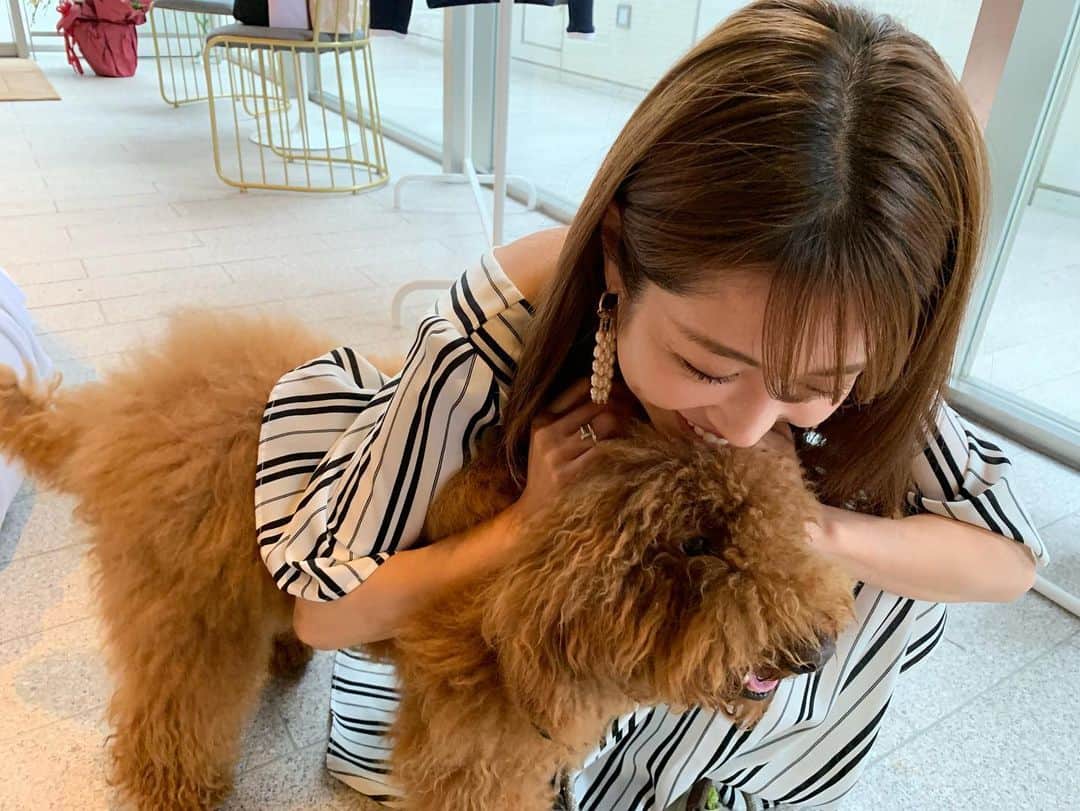 舟山久美子（くみっきー）さんのインスタグラム写真 - (舟山久美子（くみっきー）Instagram)「@lavecjapan って新しいブランドが出来たのでお仕事終わりに展示会行ってきました😉👌✨✨わんちゃんが可愛くてずっと遊んでたらReluxし過ぎて居座ってしまいそうでした…笑  お洋服の生地も気持ちよすぎて…試着したら着てることを忘れた😪💗 どれも素敵でしたが、きちんと見えしてずっと使えるジャケットとパンツを購入✨ はぁ着るの楽しみ🐥✌️ 今日は朝時間無くて…また着やすいワンピース着てしまった🤭@micoameriofficial  #afterhours #fashion #relax #lavec #room #いぬすたぐらむ #プードル #私服 #micoameri」6月12日 18時20分 - kumikofunayama