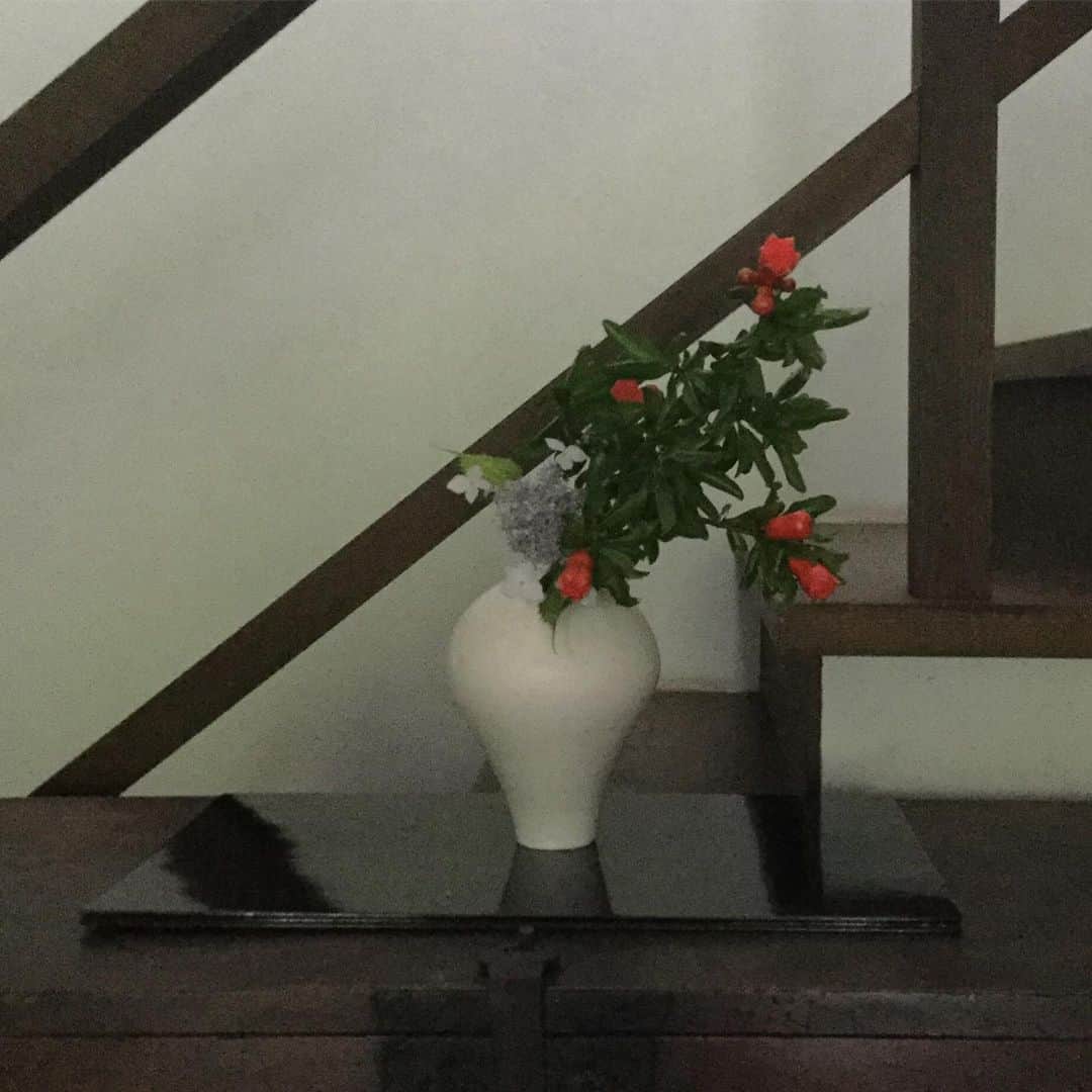 ヒロミチナカノさんのインスタグラム写真 - (ヒロミチナカノInstagram)「黒田泰蔵の白磁の花器に柘榴と山紫陽花を入れました。 #flowers ＃flowerinstagram  #taizokuroda」6月12日 18時14分 - hiromichinakano_official