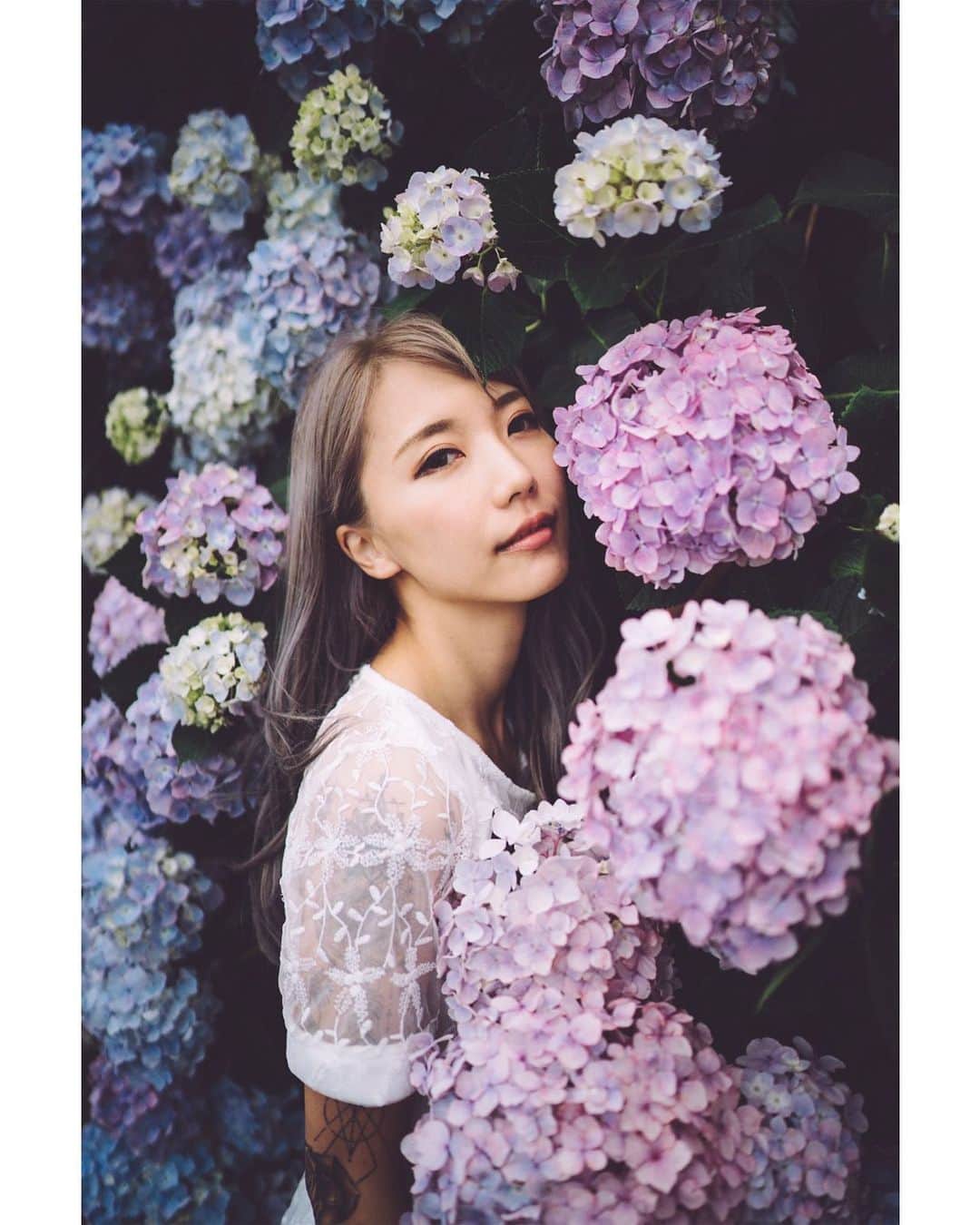 GENTAのインスタグラム：「今年はじめての紫陽花を撮りました💠 #distagon」