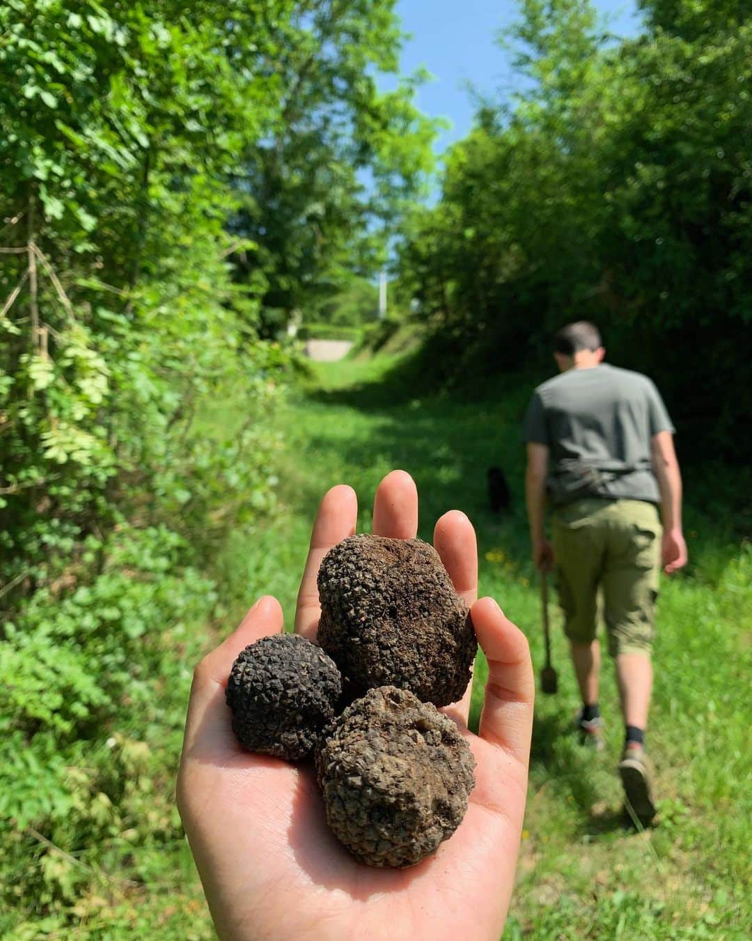 Amata Chittaseneeさんのインスタグラム写真 - (Amata ChittaseneeInstagram)「@prodantartufi 🍄 truffle truffle truffle hunting :) always so happy to be back with the family 😊 #shareistria #visitistria #truffle #trufflehunting #croatia #pearypiegoesgreen #pearypiearoundtheworld」6月12日 18時48分 - pearypie