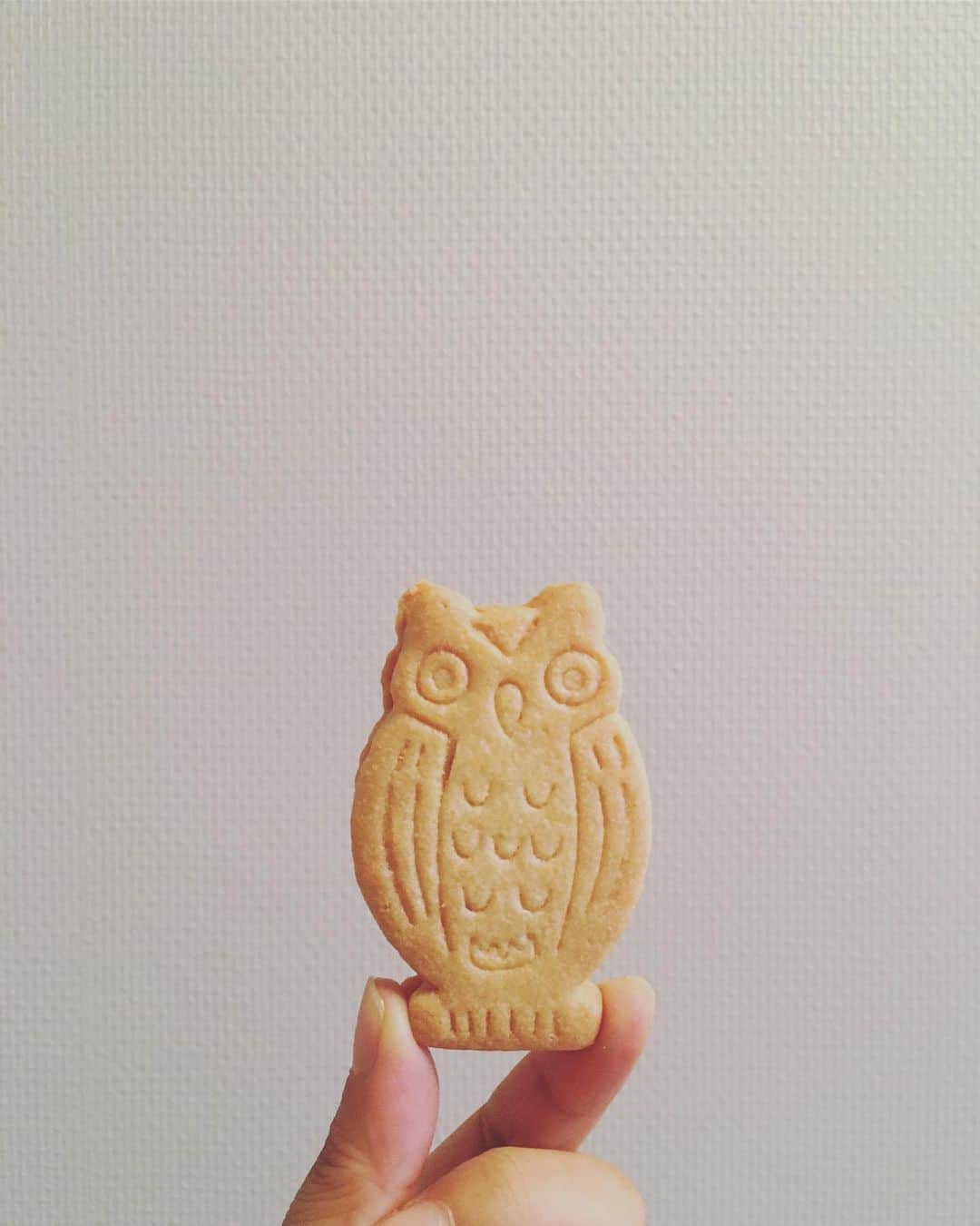 猫沢エミのグルメインスタ