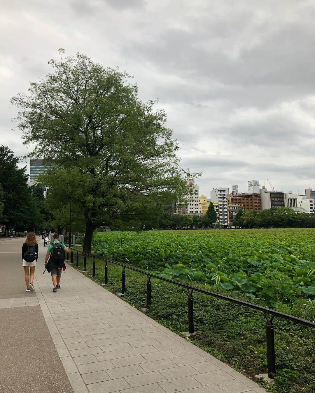 ロレンツォ・デ・シルヴェストリさんのインスタグラム写真 - (ロレンツォ・デ・シルヴェストリInstagram)「Hey Tokyo nice to meet you! Kanpai! 🇯🇵 #japan #japantrip #tokyo #tokyolife 🔥 Thanks a lot to @vistatokyo 💙」6月12日 18時52分 - lollodesi