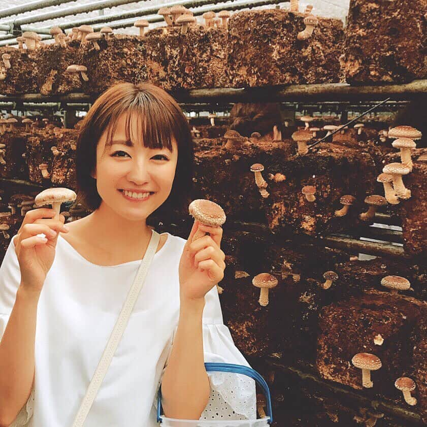 滝菜月さんのインスタグラム写真 - (滝菜月Instagram)「プライベートでバスツアーへ！﻿ ﻿ 先日、北海道から母が遊びに来たので﻿ 一緒にバスツアーへ行きました。﻿ ﻿ キノコ狩りをしたり、﻿ 昔の街並みを見たり、﻿ 全長120mもある大仏様を拝んだり﻿ ﻿ あれ...﻿ 初めて来たはずなのに.....﻿ 何故か懐かしい気持ち。﻿ ﻿ なんでだ〜なんで〜なんでなの〜な〜ぜ〜﻿ ﻿ ﻿ ﻿ ﻿ ﻿ ﻿ ﻿ ﻿ 気がつきました。﻿ ヒルナンデスで見たツアーだ！！！笑﻿ ﻿ ﻿ #ヒルナンデス﻿ #月曜ヒルナンデス﻿ #バスツアー﻿ #まさかの同じコース﻿ #顔はめパネル﻿ #はめずにはいられない﻿ #滝菜月」6月12日 19時16分 - taki_natsuki