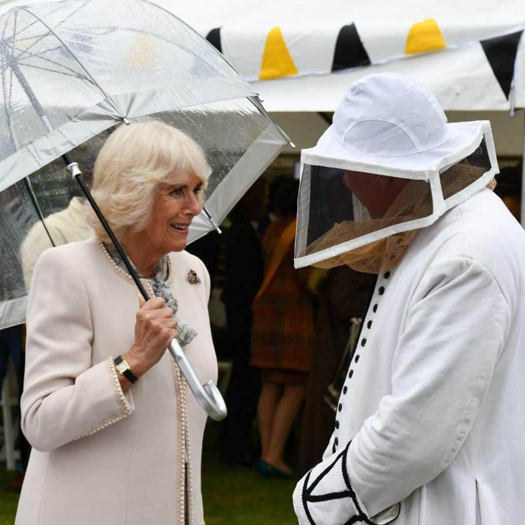 クラレンス邸さんのインスタグラム写真 - (クラレンス邸Instagram)「This evening, The Duchess of Cornwall attended the @beesfordevelopment Garden Party in London 🐝 Bees for Development supports people out of poverty through beekeeping and the charity has now worked in more than 50 countries worldwide. During the event, HRH heard more about the charity’s work, met Commonwealth beekeepers and tasted some of their honey 🍯」6月13日 6時19分 - clarencehouse