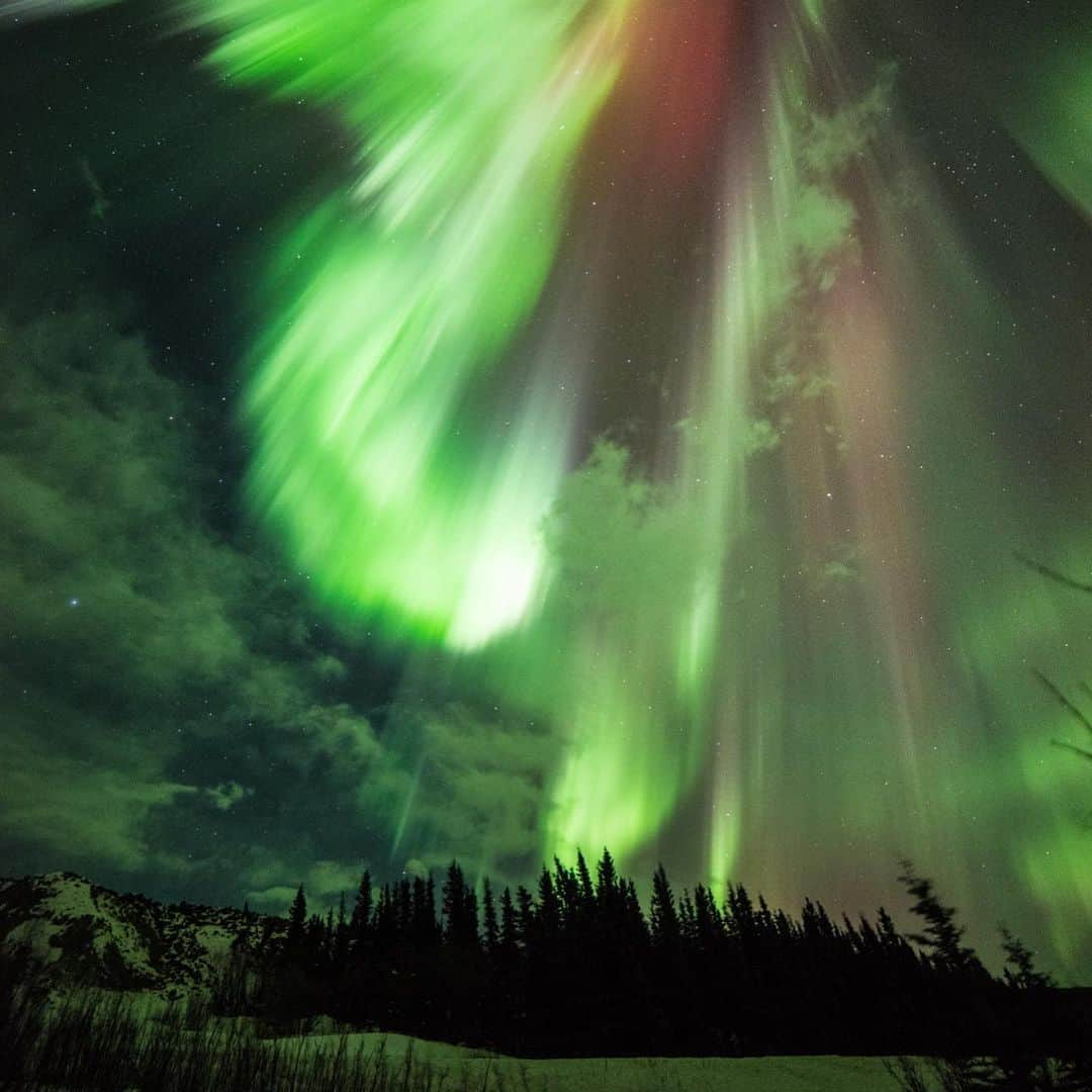 NASAさんのインスタグラム写真 - (NASAInstagram)「#GlowUp⁣ ⁣ Astronaut Christina Koch (@astro_christina) has experienced what few people have: an aurora from above AND below. The first image she took onboard the International Space Station (@iss). The second image was taken on the Earth — in Donnelly Creek, Alaska by Sebastian Saarloos in 2015. Both photos show what happens when solar wind from the Sun disturb the Earth’s magnetosphere. ⁣ ⁣ Image 1 Credit: Christina Koch / NASA⁣ Image 2 Credit: Sebastian Saarloos⁣ ⁣ #NASA #Space #Aurora⁣」6月13日 6時23分 - nasa