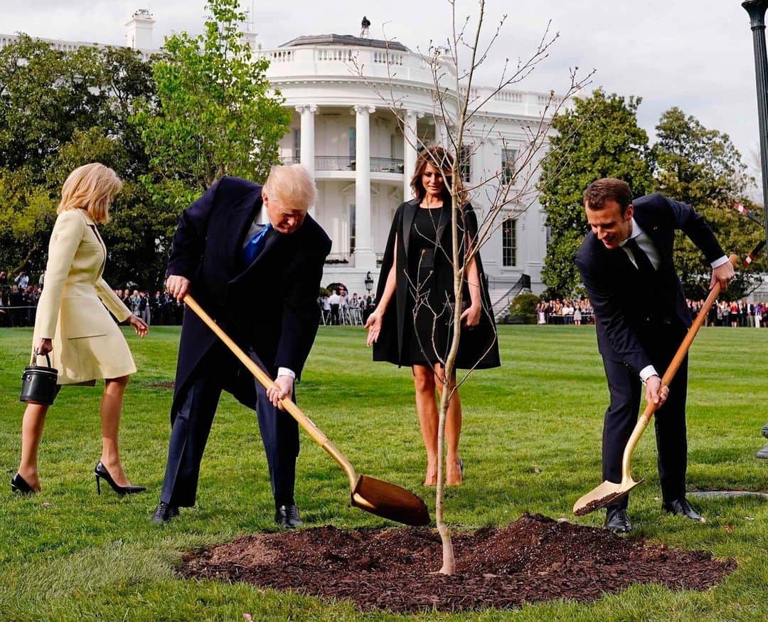 NBC Newsさんのインスタグラム写真 - (NBC NewsInstagram)「French President #Macron has gifted President #Trump with a new “friendship tree” after the first one died. Click the link in our bio to read more. . 📷 Joshua Roberts / @reuters」6月13日 5時48分 - nbcnews