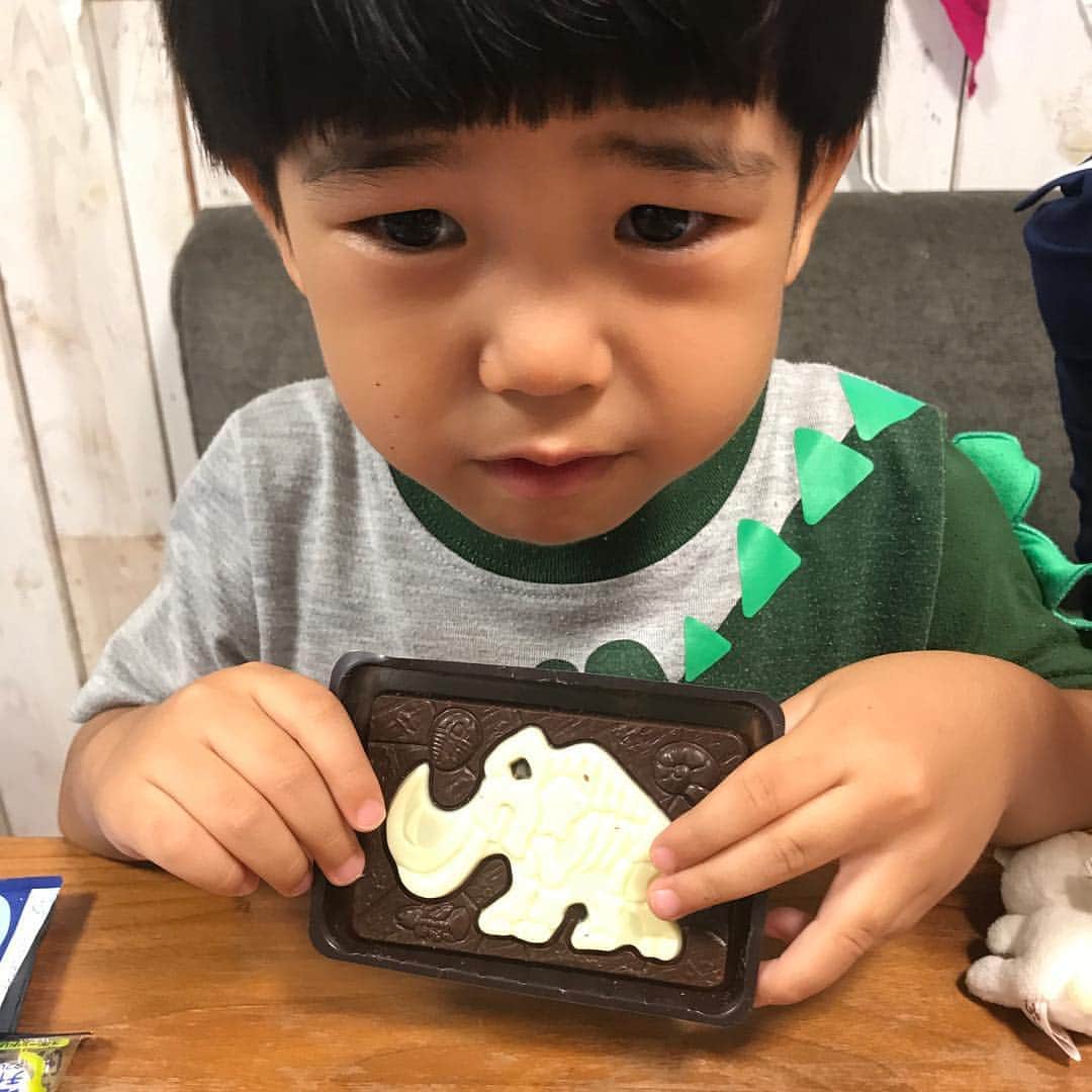 kougeishaのインスタグラム：「発掘恐竜チョコのシークレットと銀さん。」
