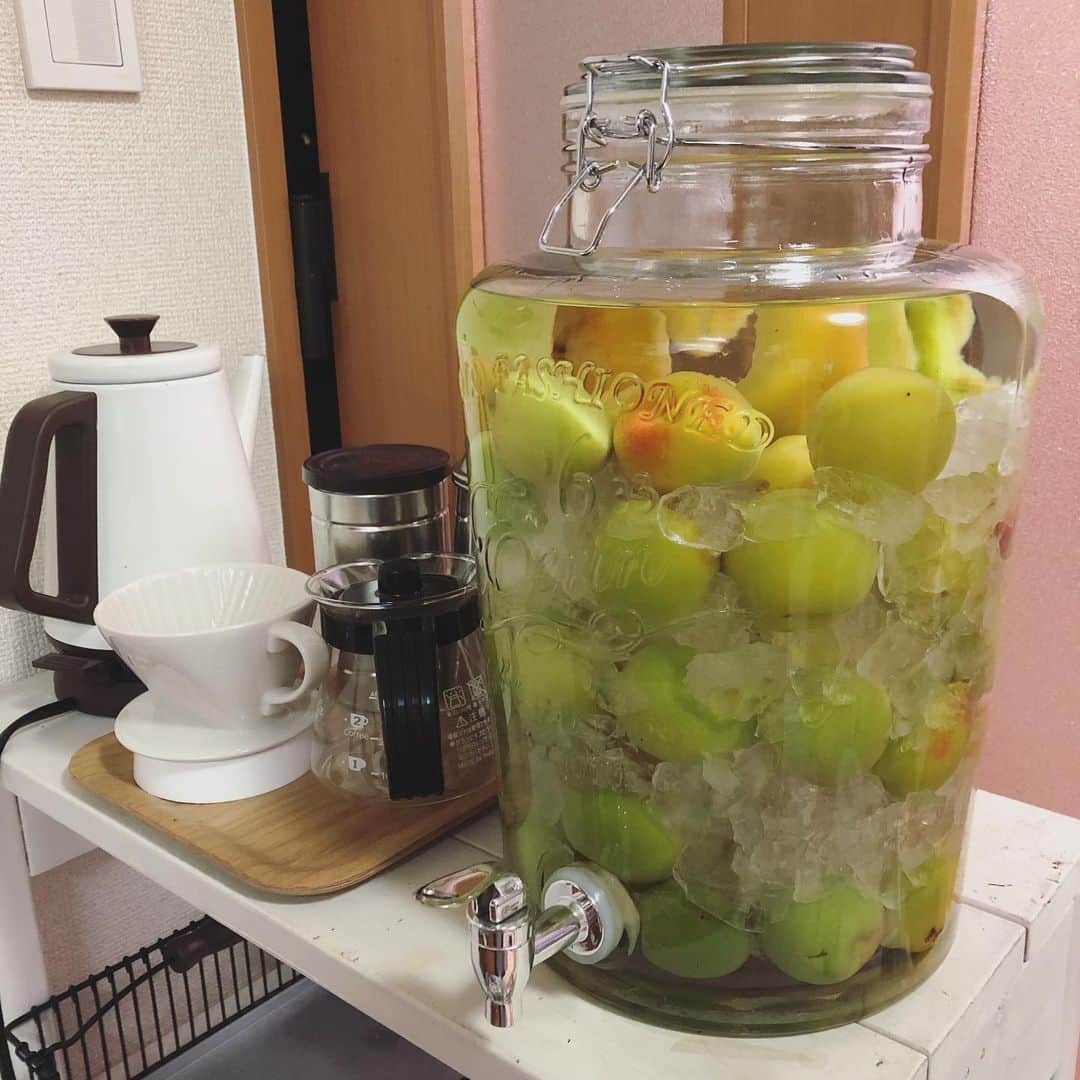 石川由香里さんのインスタグラム写真 - (石川由香里Instagram)「. 今年も やりましたー！ . 梅酒づくり！ . 去年と同じ量の つもりだったけど… なんか モリモリに なってしまいました(*´艸｀*) . 楽しみです(*´艸｀*) . #梅酒づくり  #梅酒 #梅仕事 #梅仕事2019」6月12日 22時01分 - yukari_ishikawa