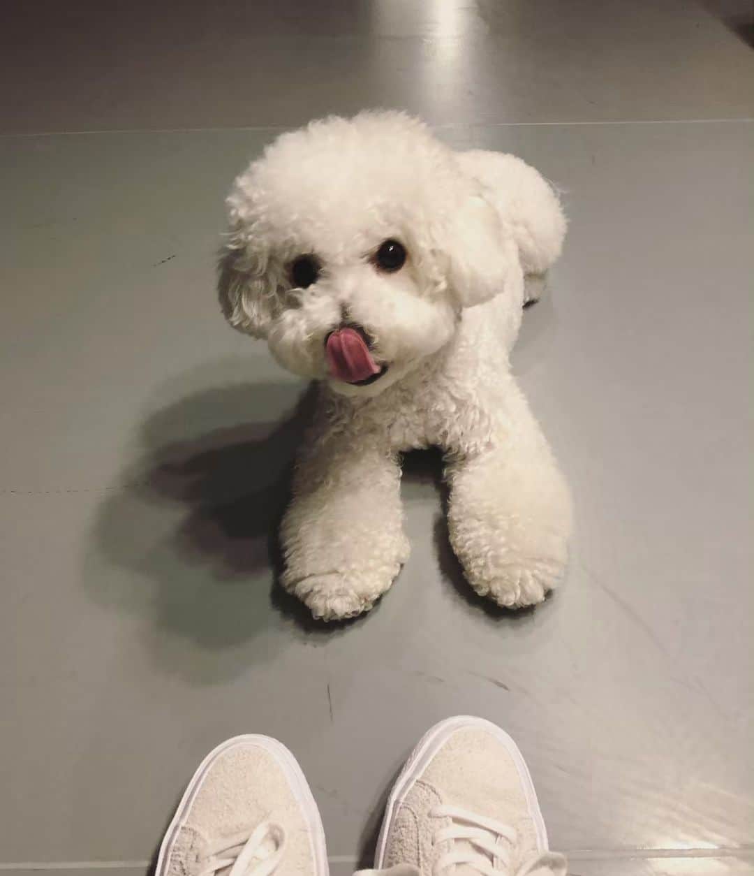 ヒョナ さんのインスタグラム写真 - (ヒョナ Instagram)6月12日 22時52分 - hyunah_aa