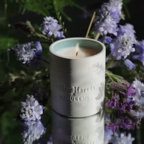のインスタグラム：「A thousand trimmed stems scattered sappy and simple. Moist air and dew... jewels of renewal.」