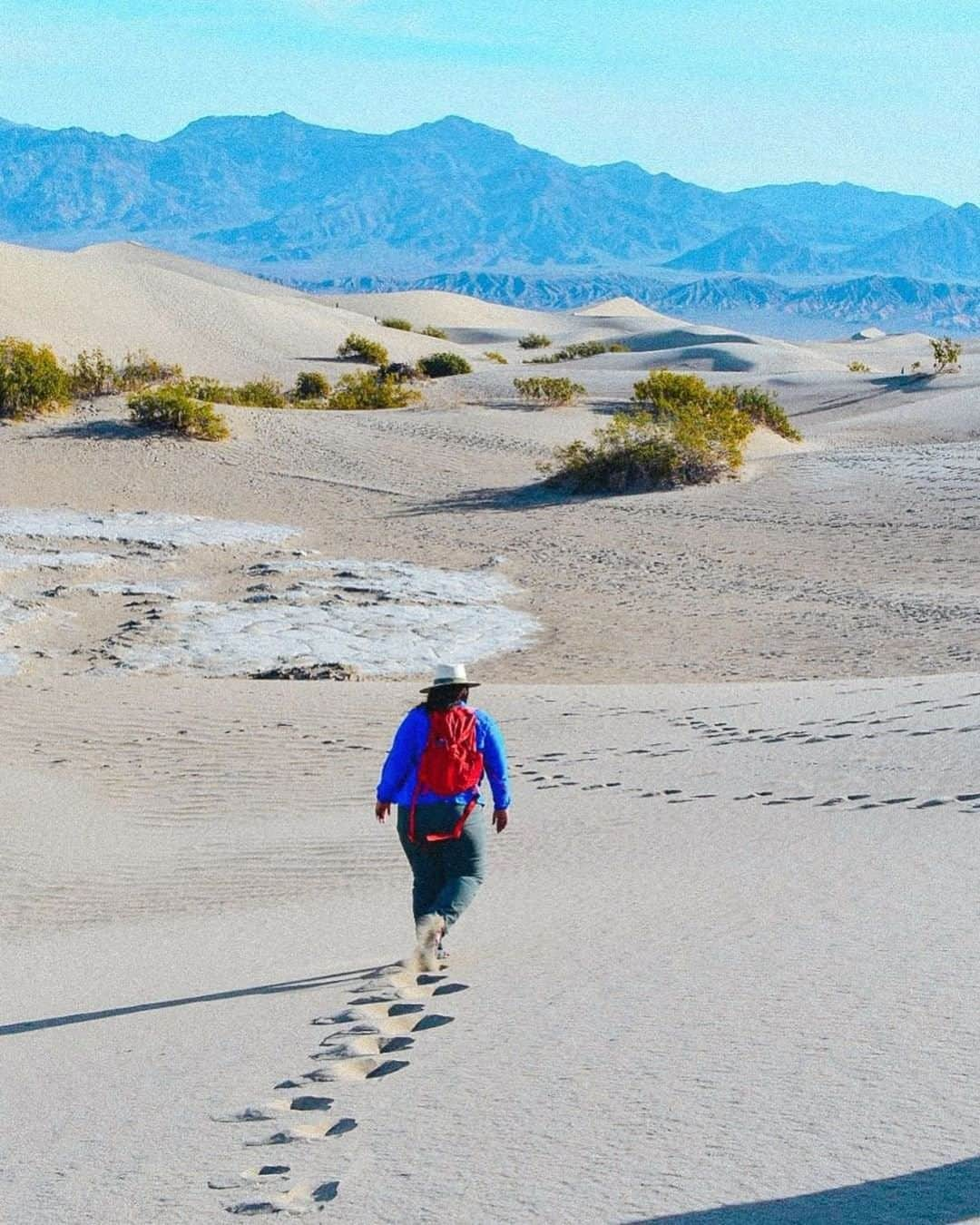 REIさんのインスタグラム写真 - (REIInstagram)「Co-op members usually take the road less traveled, and remind us to do the same.  Photo: @thebucketlisttraveler in Death Valley National Park. #REImember」6月13日 0時00分 - rei