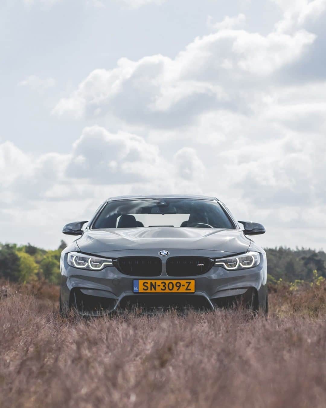 BMWのインスタグラム：「Playing hide and seek has never been more exciting. The BMW M4 CS. #BMWrepost @fotografiebenzo #BMW #M4 #BMWM #Mpower #DrivingPerformance #performance #landscape #nature #newhorizons #countryside __ BMW M4 CS: Fuel consumption in l/100 km (combined): 8.4. CO2 emissions in g/km (combined): 197.The values of fuel consumptions, CO2 emissions and energy consumptions shown were determined according to the European Regulation (EC) 715/2007 in the version applicable at the time of type approval. The figures refer to a vehicle with basic configuration in Germany and the range shown considers optional equipment and the different size of wheels and tires available on the selected model. The values of the vehicles are already based on the new WLTP regulation and are translated back into NEDC-equivalent values in order to ensure the comparison between the vehicles. [With respect to these vehicles, for vehicle related taxes or other duties based (at least inter alia) on CO2-emissions the CO2 values may differ to the values stated here.] The CO2 efficiency specifications are determined according to Directive 1999/94/EC and the European Regulation in its current version applicable. The values shown are based on the fuel consumption, CO2 values and energy consumptions according to the NEDC cycle for the classification. For further information about the official fuel consumption and the specific CO2 emission of new passenger cars can be taken out of the „handbook of fuel consumption, the CO2 emission and power consumption of new passenger cars“, which is available at all selling points and at https://www.dat.de/angebote/verlagsprodukte/leitfaden-kraftstoffverbrauch.html.」