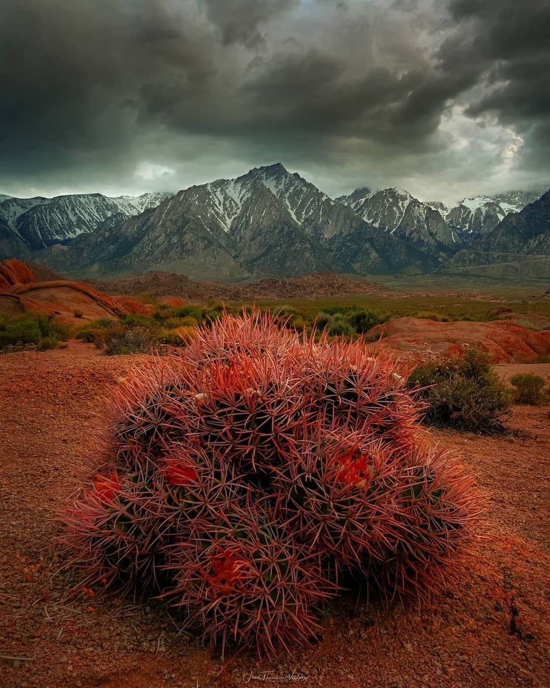 NikonUSAさんのインスタグラム写真 - (NikonUSAInstagram)「#NikonNoFilter photo by landscape photographer @time_slinger captured in Alabama Hills, CA with the #Nikon #Z7 and #NIKKOR Z 24-70mm f/2.8 S lens. Share your best photos with us by using #NikonNoFilter for a chance to be featured!」6月13日 0時28分 - nikonusa
