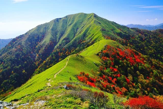 JAPAN TRIP 大人旅〜厳選の宿〜のグルメインスタ
