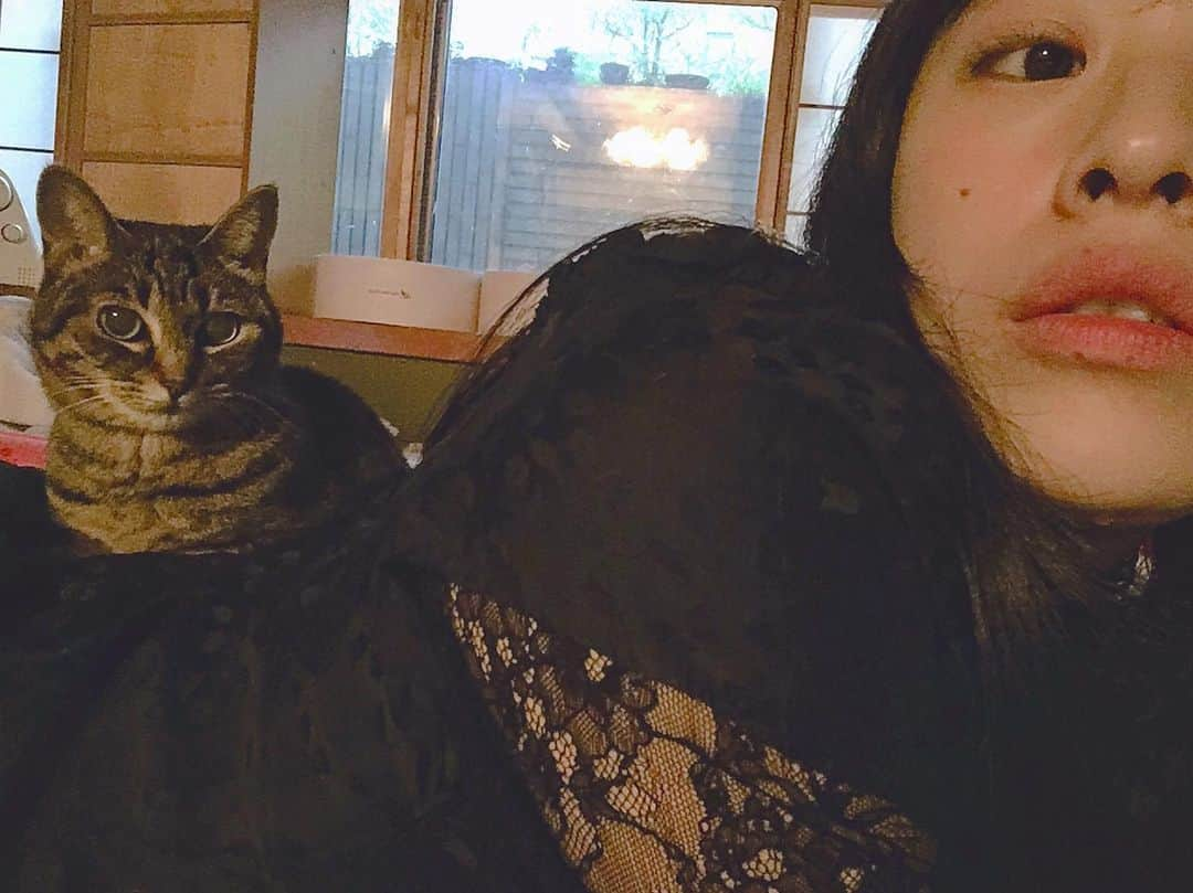 宮島小百合さんのインスタグラム写真 - (宮島小百合Instagram)「#ねこ #猫 #cat  #みかん #ペット  #うちの」6月13日 0時33分 - sayuri_kakaka