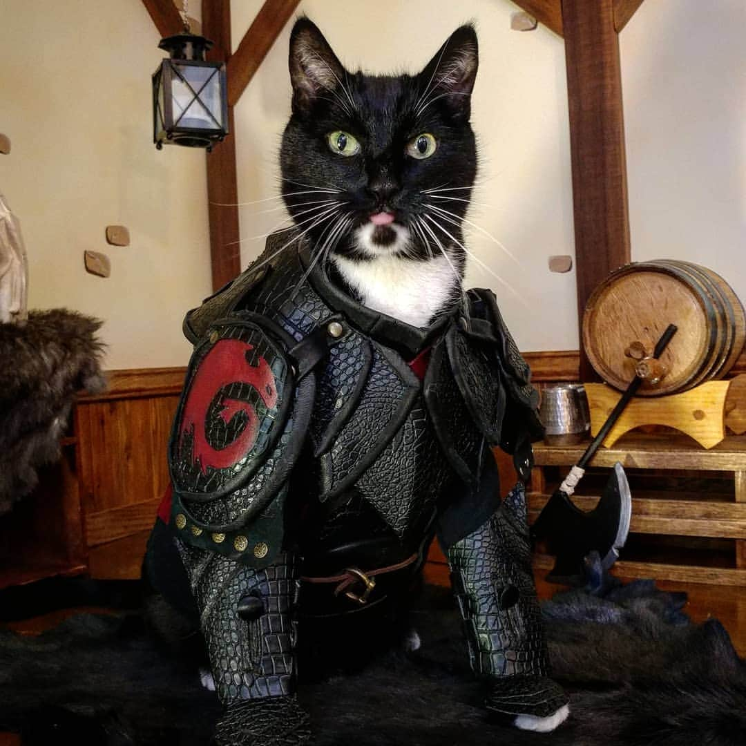 猫コスプレさんのインスタグラム写真 - (猫コスプレInstagram)「Why do the weekends fly by so fast, but the weekdays just seem to Drag-on? ... #HowToTrainYourDragon #puns  #Hiccup . . . . . . . . #hiccupcosplay #hiccuphaddock #httyd #httydfanart #httydfandom #httydcosplay #howtotrainyourdragoncosplay #catcostume #CatCosplay #pun #sorrynotsorry #badjokes #dadjokes」6月13日 0時56分 - cat_cosplay