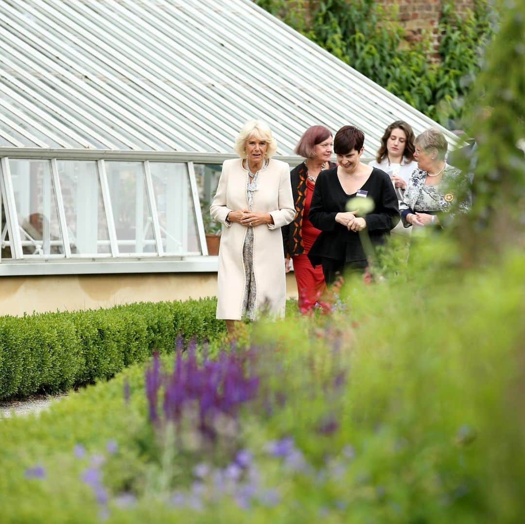 クラレンス邸さんのインスタグラム写真 - (クラレンス邸Instagram)「The Duchess of Cornwall visited Fulham Palace today to mark the restoration of the Palace and its reopening to the public.  The Duchess toured the Palace’s walled garden and walked through the Tudor courtyard, which has been restored using traditional Tudor techniques.  Between AD 704 and 1973, Fulham Palace was home to 133 Bishops of London. Catherine of Aragon also lived in the Palace for three years before marrying King Henry VIII and later it was used as an auxiliary military hospital for wounded soldiers during the First World War. 📸 PA」6月13日 1時26分 - clarencehouse