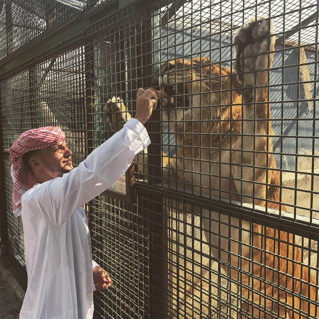 ダニー・ドリンクウォーターさんのインスタグラム写真 - (ダニー・ドリンクウォーターInstagram)「Unbelievable day out in Dubai, got to hand feed some of my favourite animals 🙌🏼 massive thanks to @sb_belhasa & @msb_belhasa for the experience.... loved it. #dubai #memories」6月13日 1時30分 - dannydrinkwater