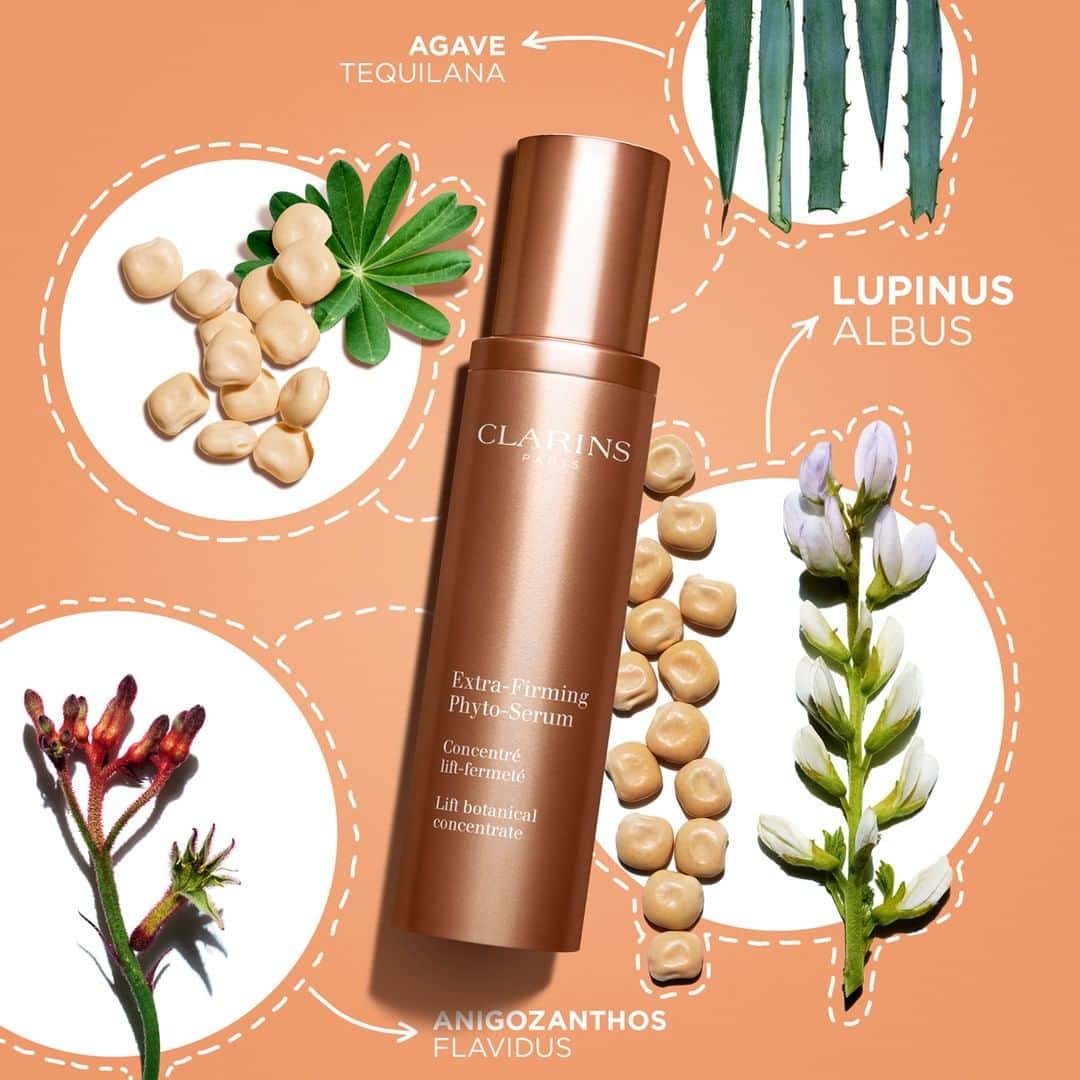 ClarinsUKさんのインスタグラム写真 - (ClarinsUKInstagram)「The recipe for a double lift effect. Extra-Firming Phyto-Serum's skin-loving herbarium includes both sustainably sourced and Fair Trade plant ingredients: 🌿Agave Tequilana and White Lupine tighten the skin 🌿Kangaroo Flower plumps & fights slackening #ExtraFirming #Clarins」6月13日 2時02分 - clarinsuk
