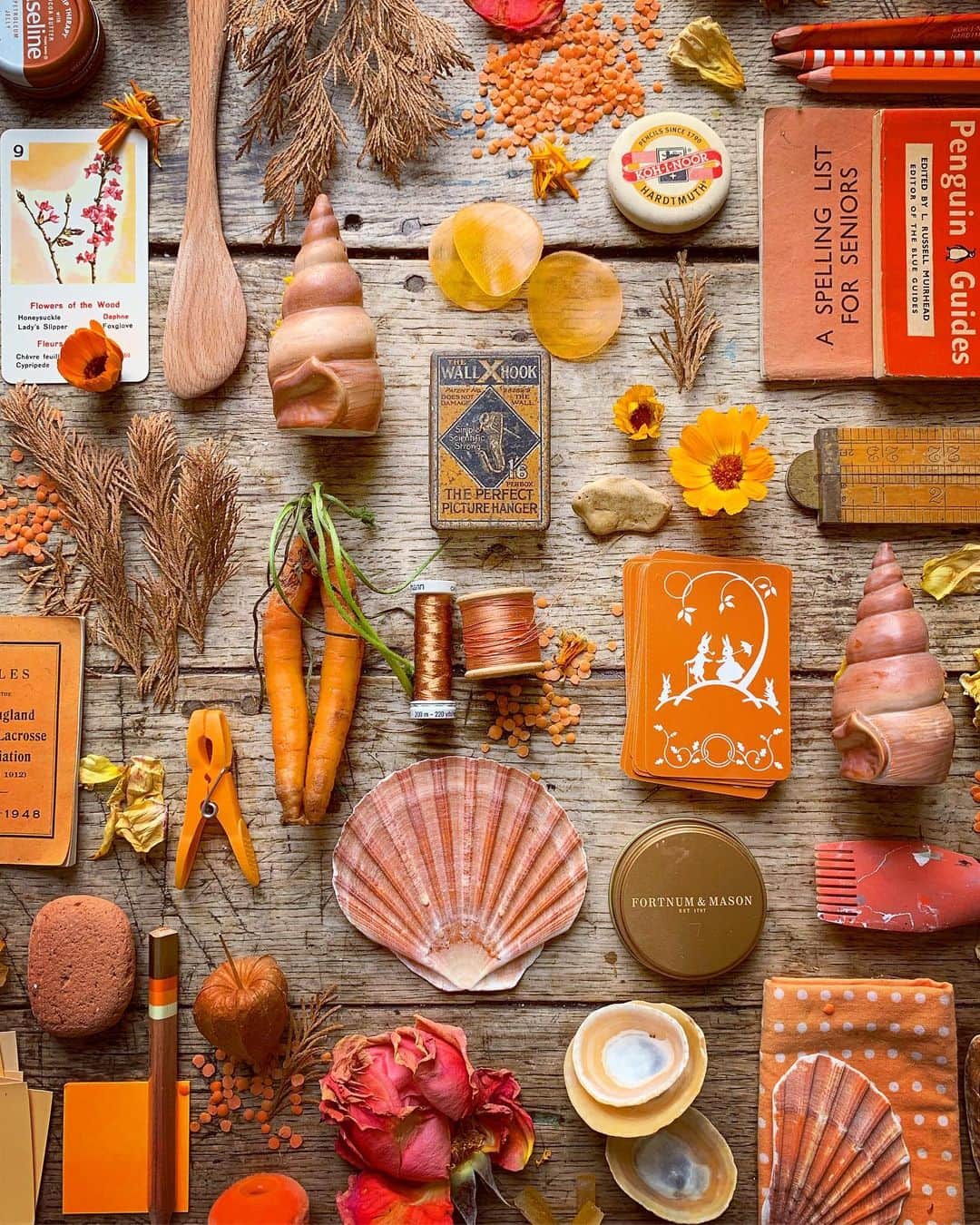Tea and sittingのインスタグラム：「🍑...Sometimes I have a colour in my head for days, and for some reason I’ve needed to do something peachy since Sunday!! 🥮🥨📙 #5ftinfcolourcombos #consciouscreativity #peachycolors #peachycolours #colourcollecting #ordinaryinspirations #domesticforaging」