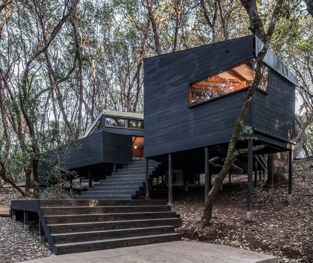 Architecture - Housesさんのインスタグラム写真 - (Architecture - HousesInstagram)「Forest House By Envelope A + D @envelopead」6月13日 2時54分 - _archidesignhome_