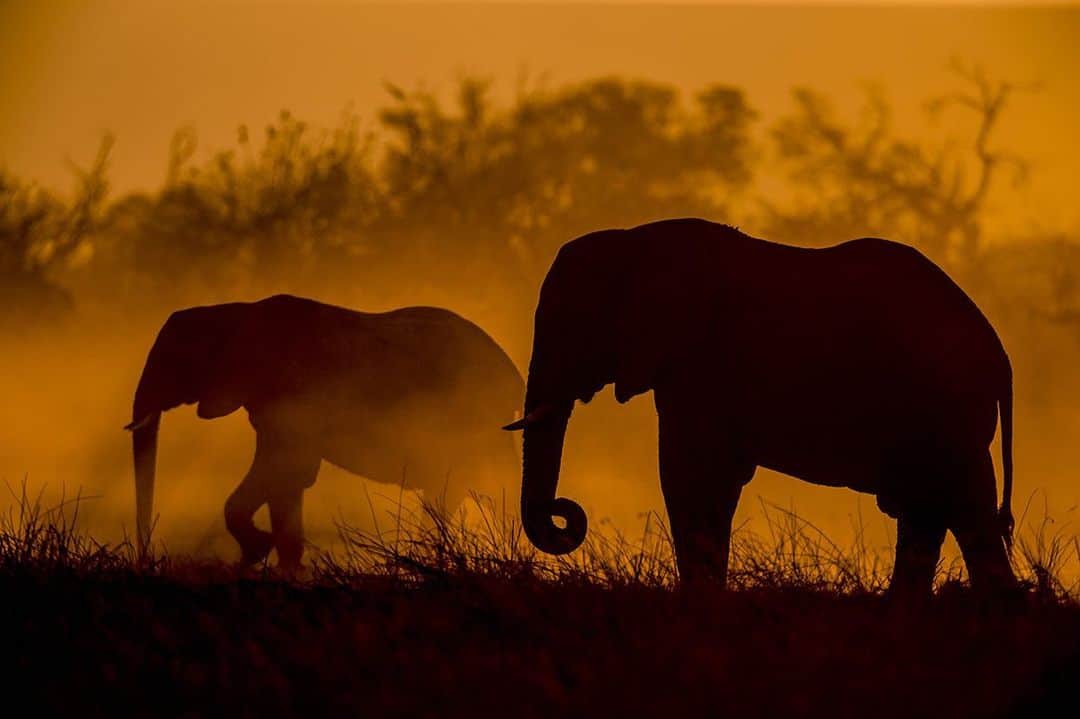 National Geographic Creativeのインスタグラム