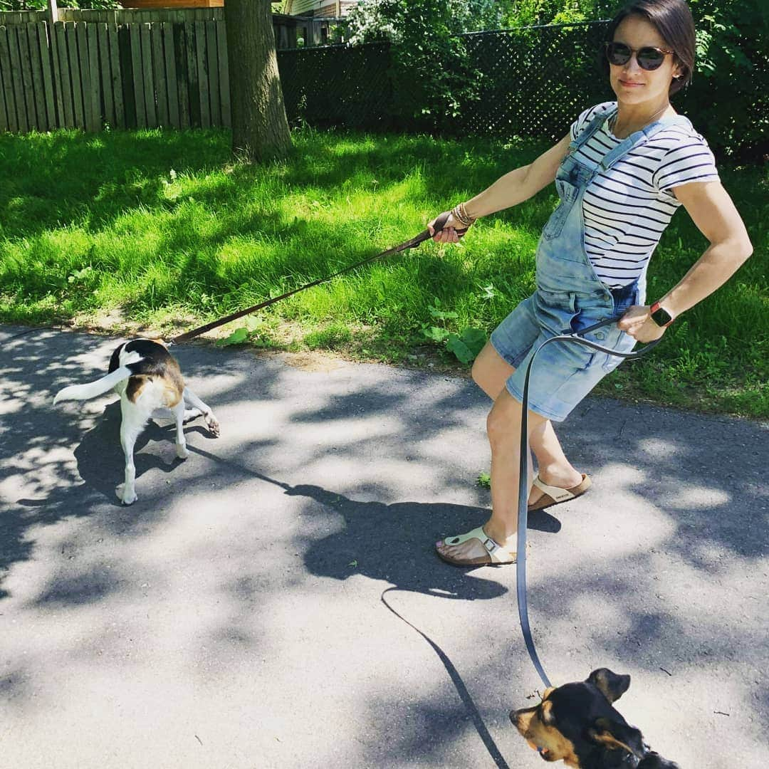 メーガン・デュアメルさんのインスタグラム写真 - (メーガン・デュアメルInstagram)「Dog Days of Summer 🐕 Instagram Photo vs. Reality of walking a beagle 🐶  #dogwalks #beautifulday #summerisfinallyhere #Mootae #Theo」6月13日 4時01分 - meaganduhamel