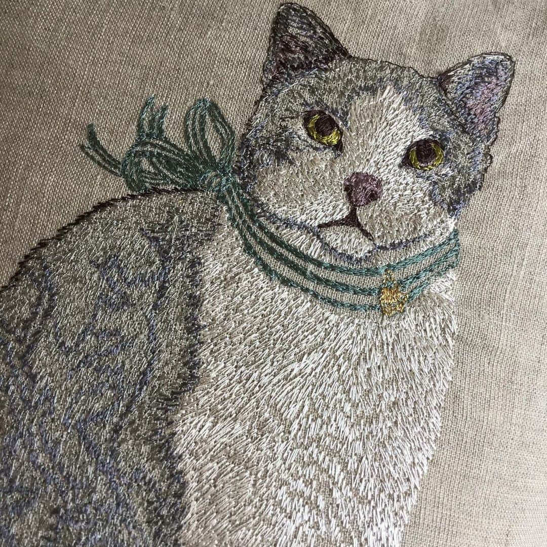 杉本彩さんのインスタグラム写真 - (杉本彩Instagram)「ステキなクッションのプレゼントをいただきました🎁  とっても繊細な猫の刺繍🐈  大切に使わせていただきます✨  #クッション #猫の刺繍」6月13日 14時27分 - sugimoto_aya0719