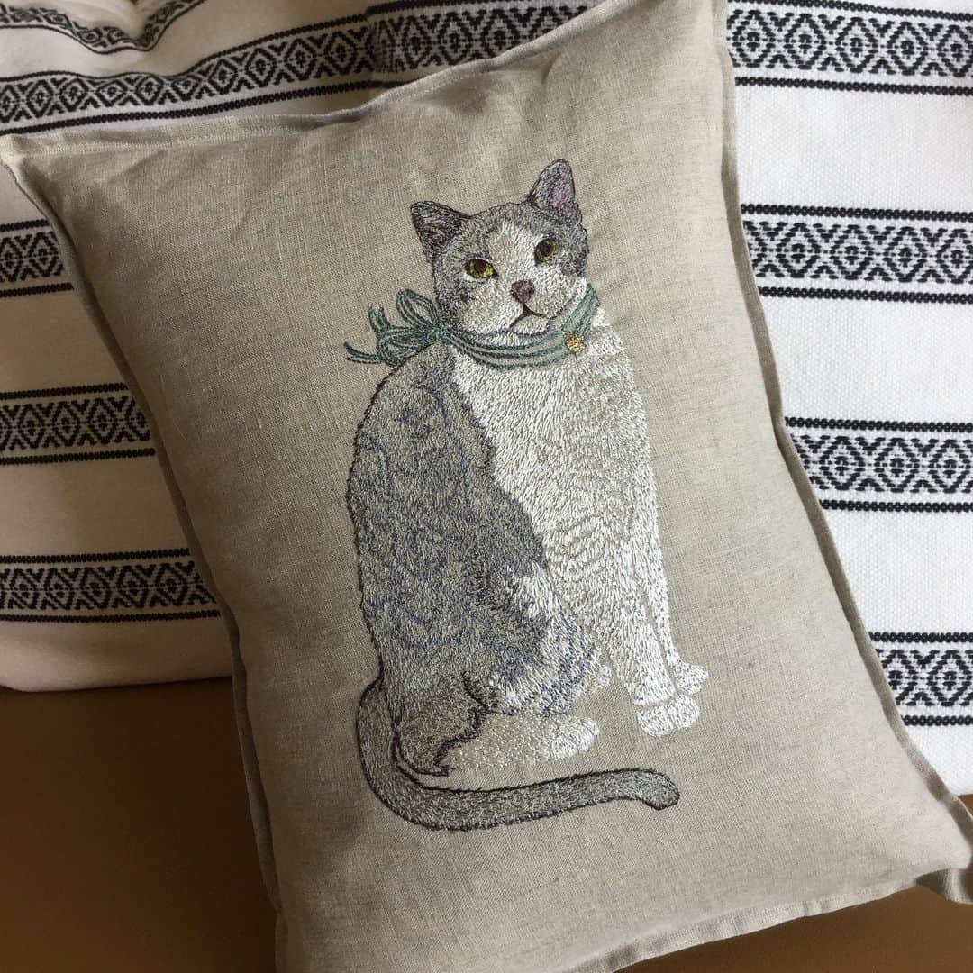 杉本彩さんのインスタグラム写真 - (杉本彩Instagram)「ステキなクッションのプレゼントをいただきました🎁  とっても繊細な猫の刺繍🐈  大切に使わせていただきます✨  #クッション #猫の刺繍」6月13日 14時27分 - sugimoto_aya0719